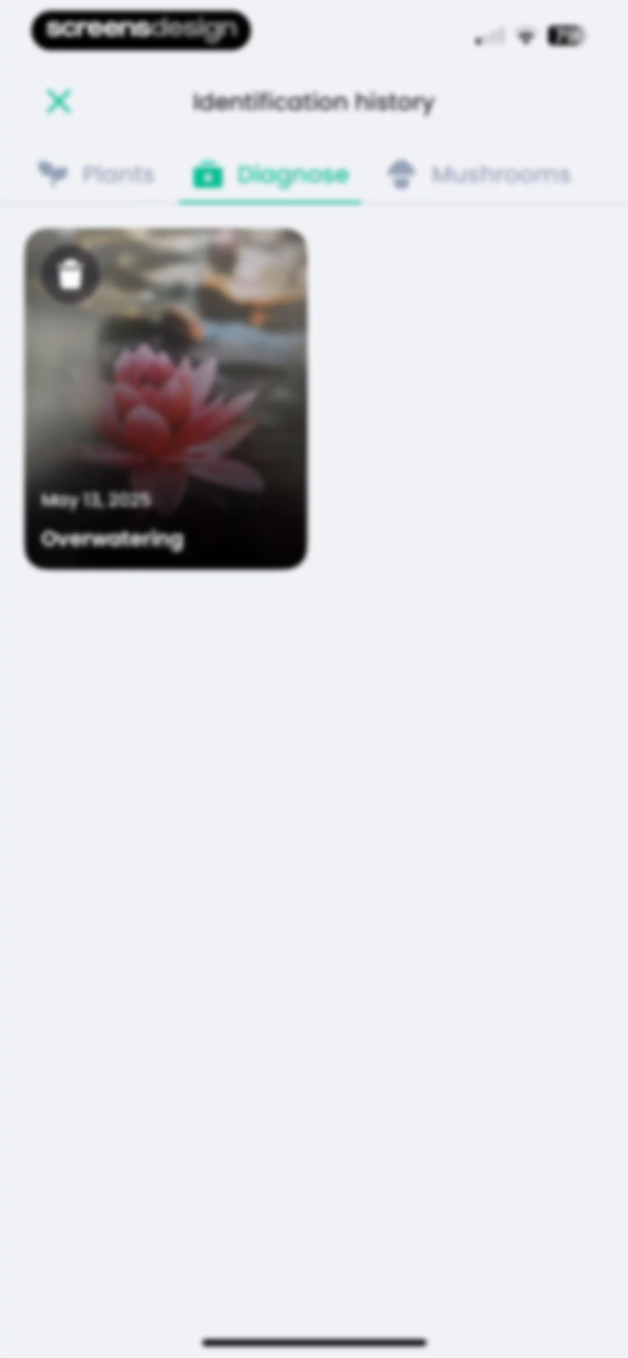 PlantIn: Plant Identifier・Care screen 176