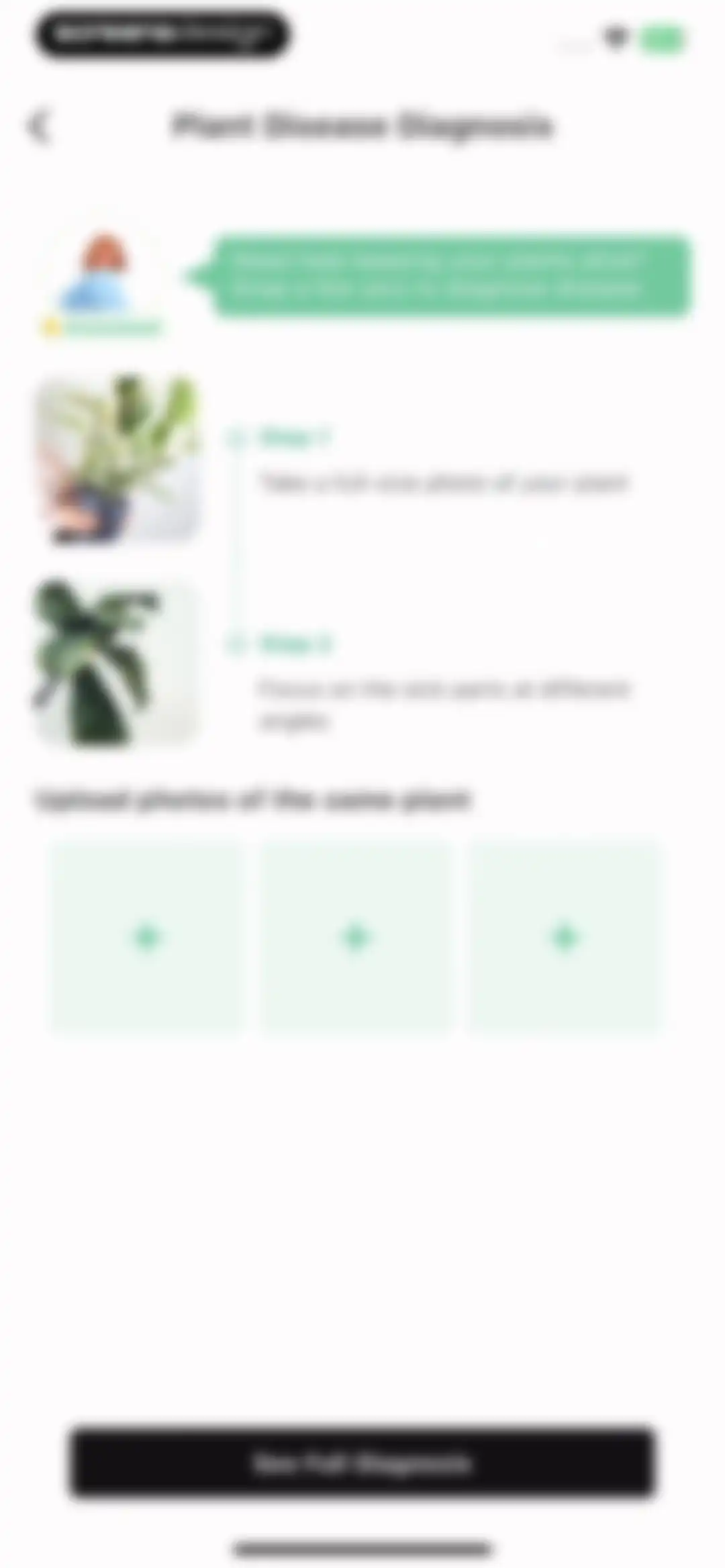 Plant Identification ++ screen 14