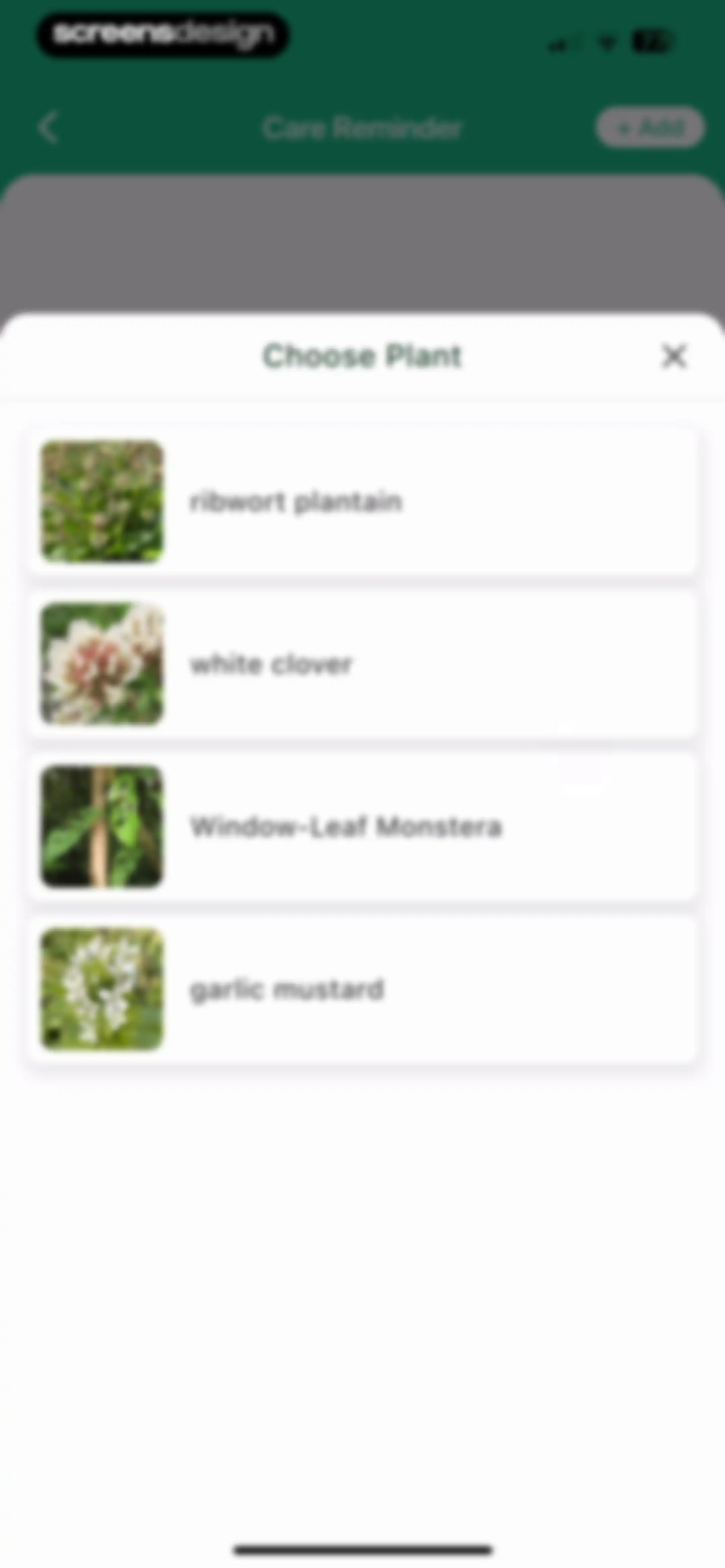 Plant Identifier: ChatPlant AI screen 71