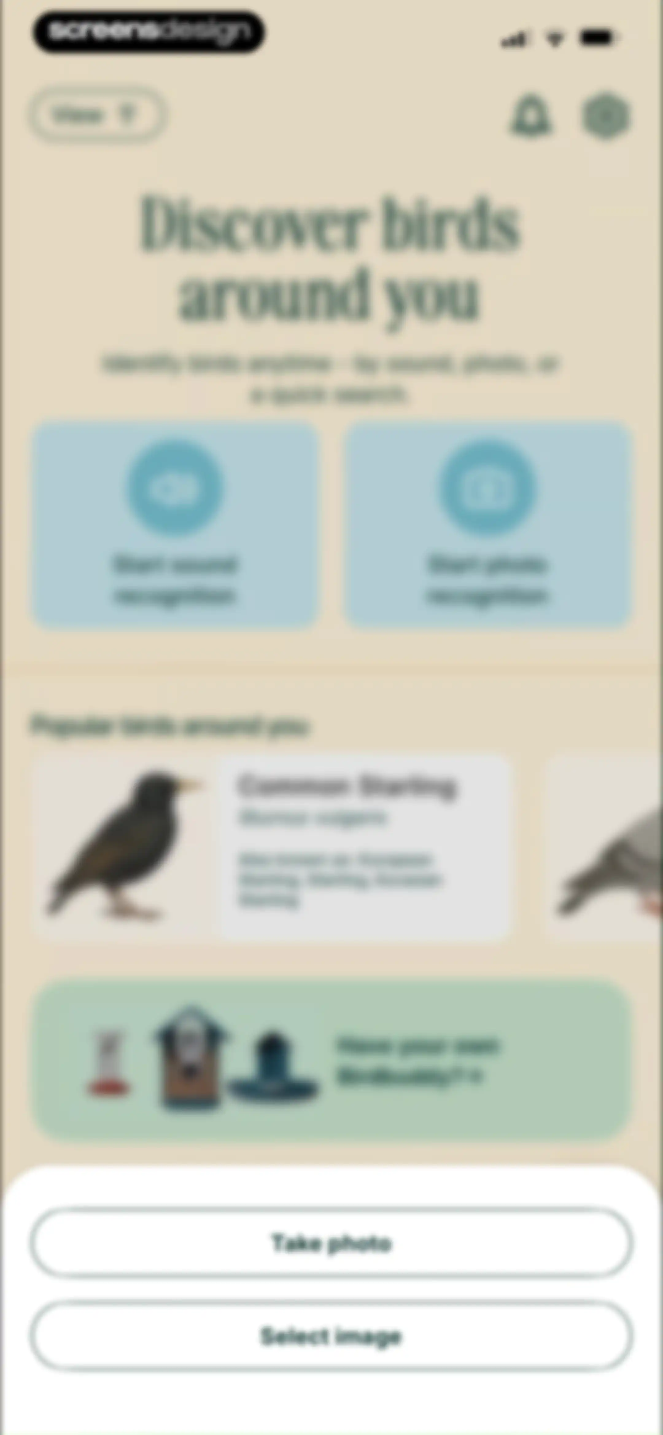 Birdbuddy: ID & Collect Birds screen 44
