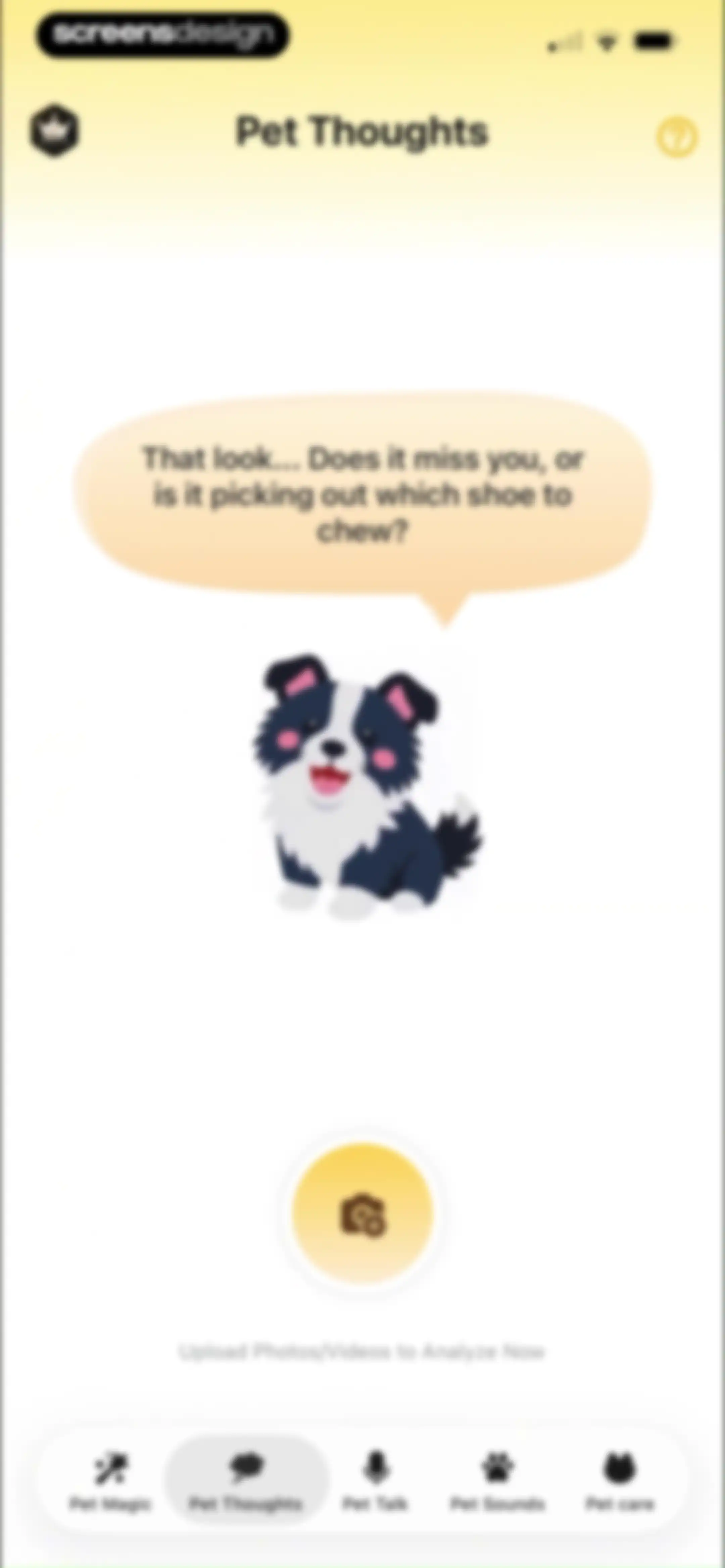 Pet Chat: Cat & Dog Translator screen 46