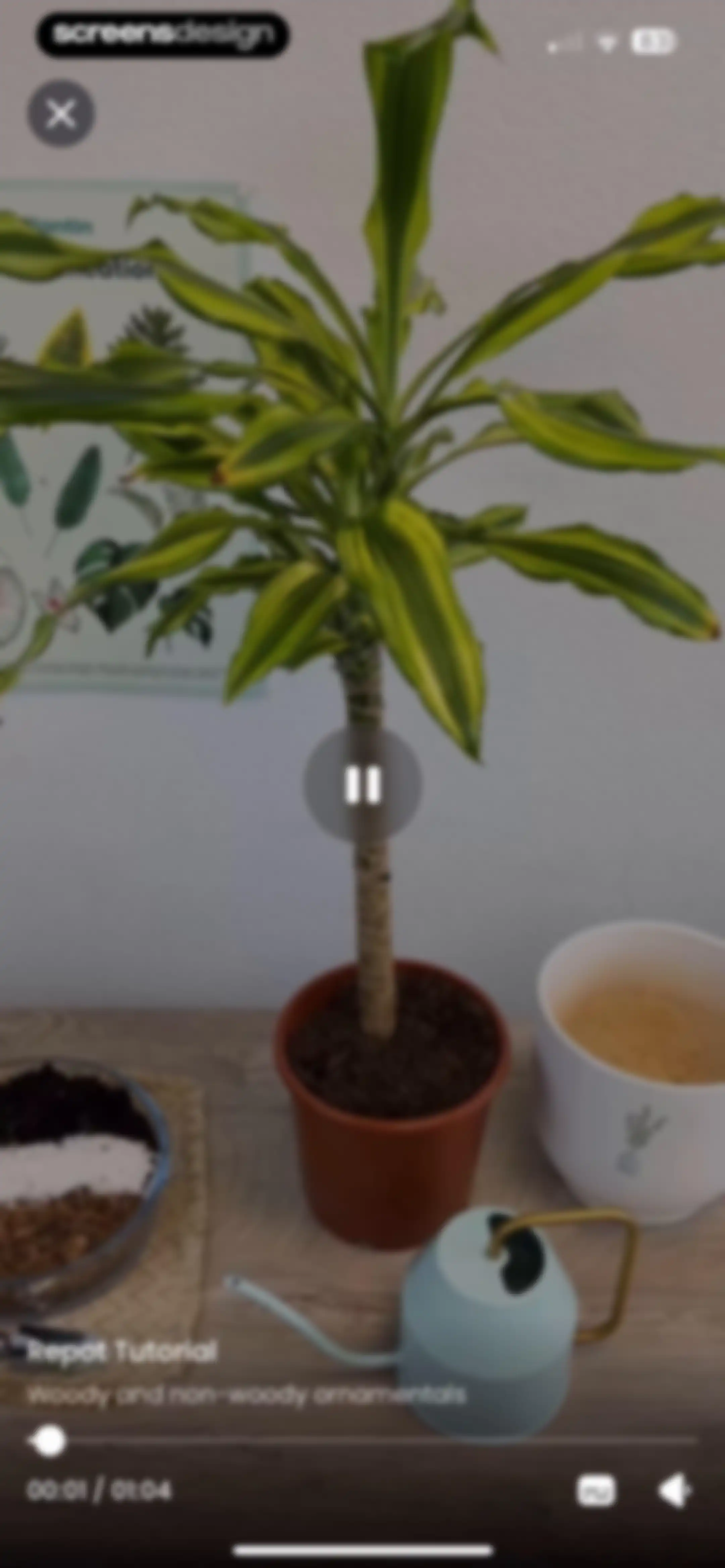 PlantIn: Plant Identifier・Care screen 44