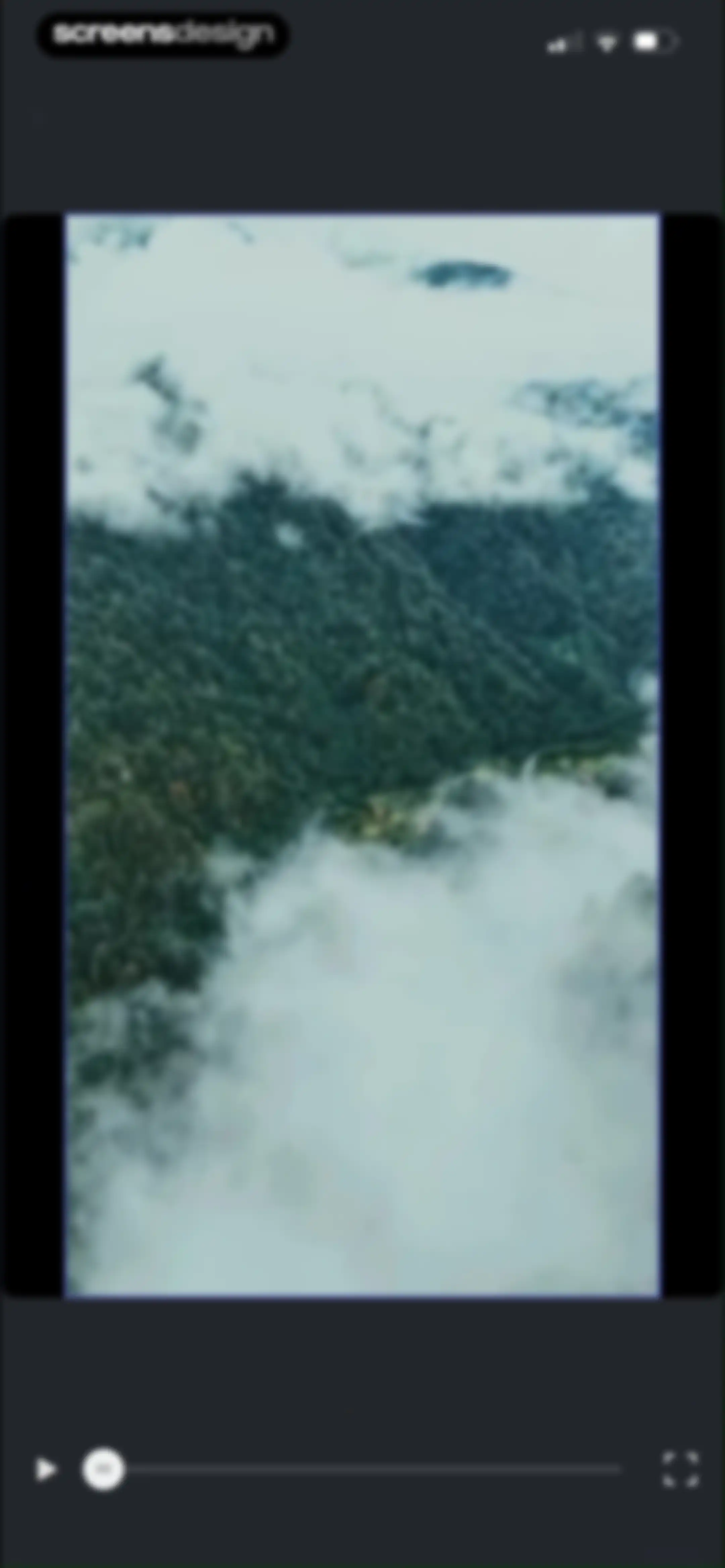 Templify・Video & Reel Maker screen 45