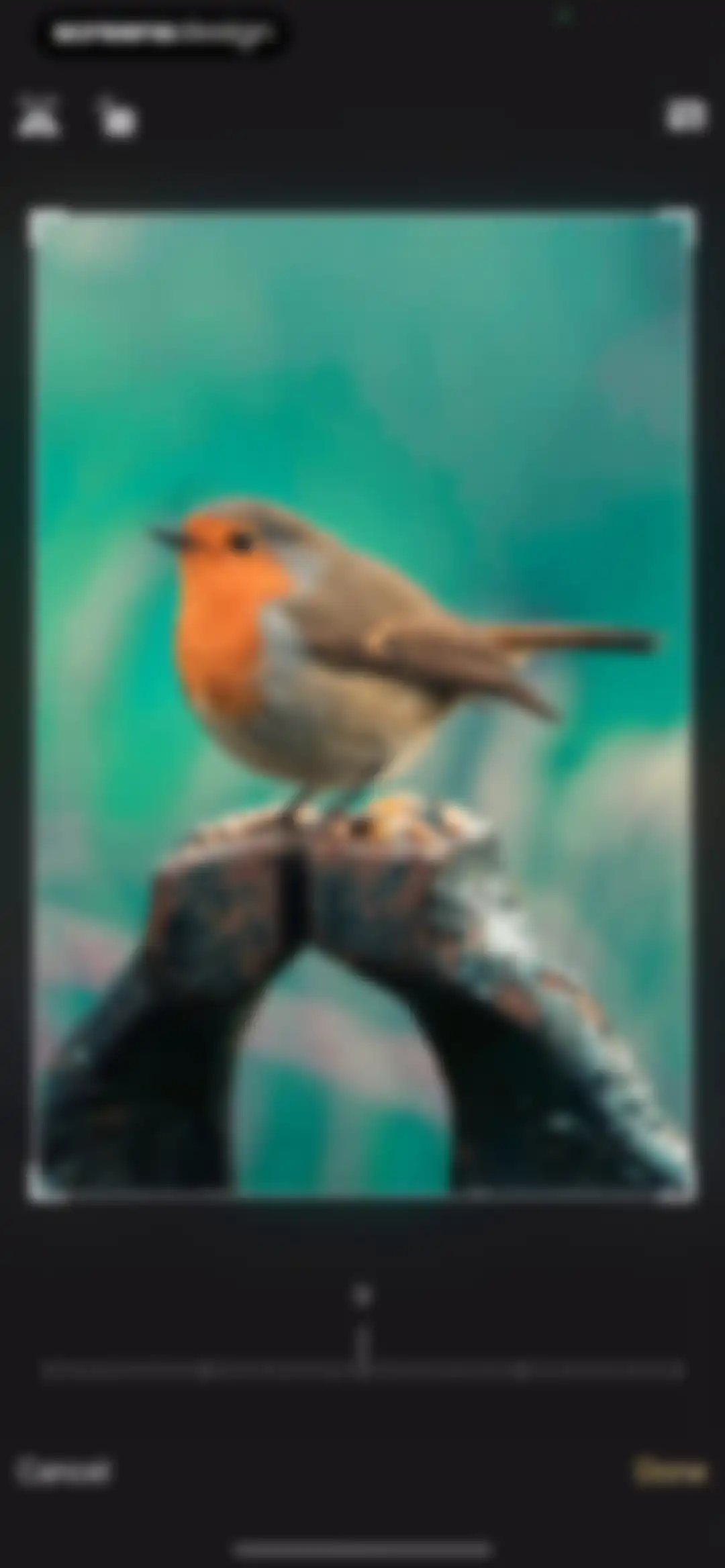 Bird Sounds Identifier Call ID screen 15