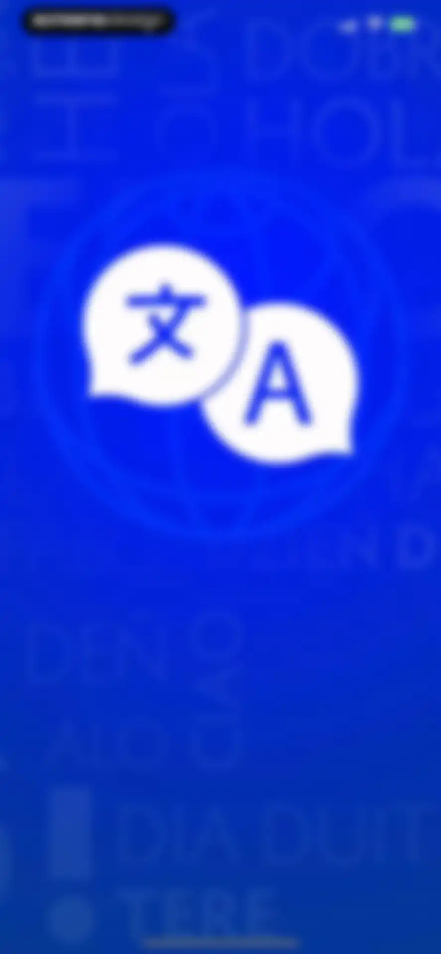 Translate Anything screen 1