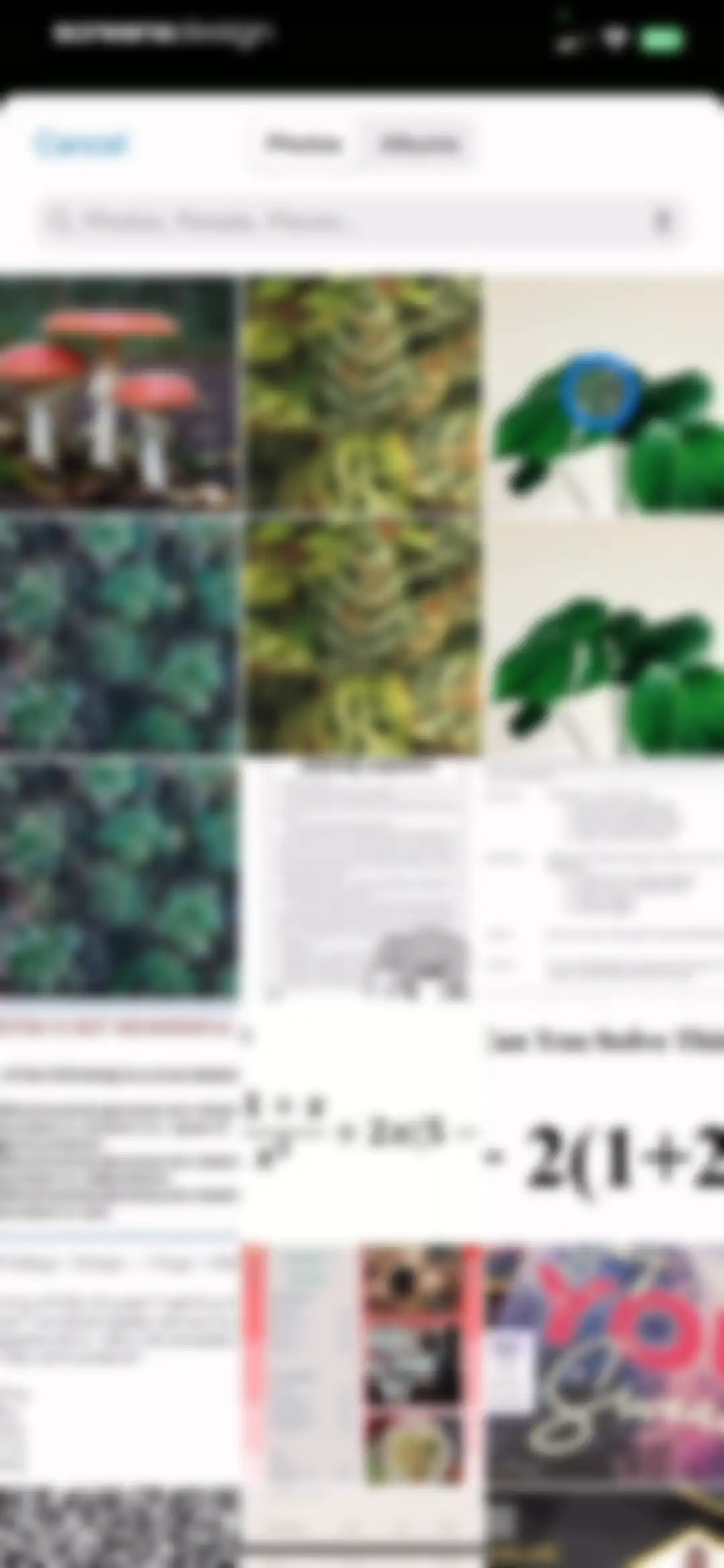 Plantify: AI Plant Identifier screen 9