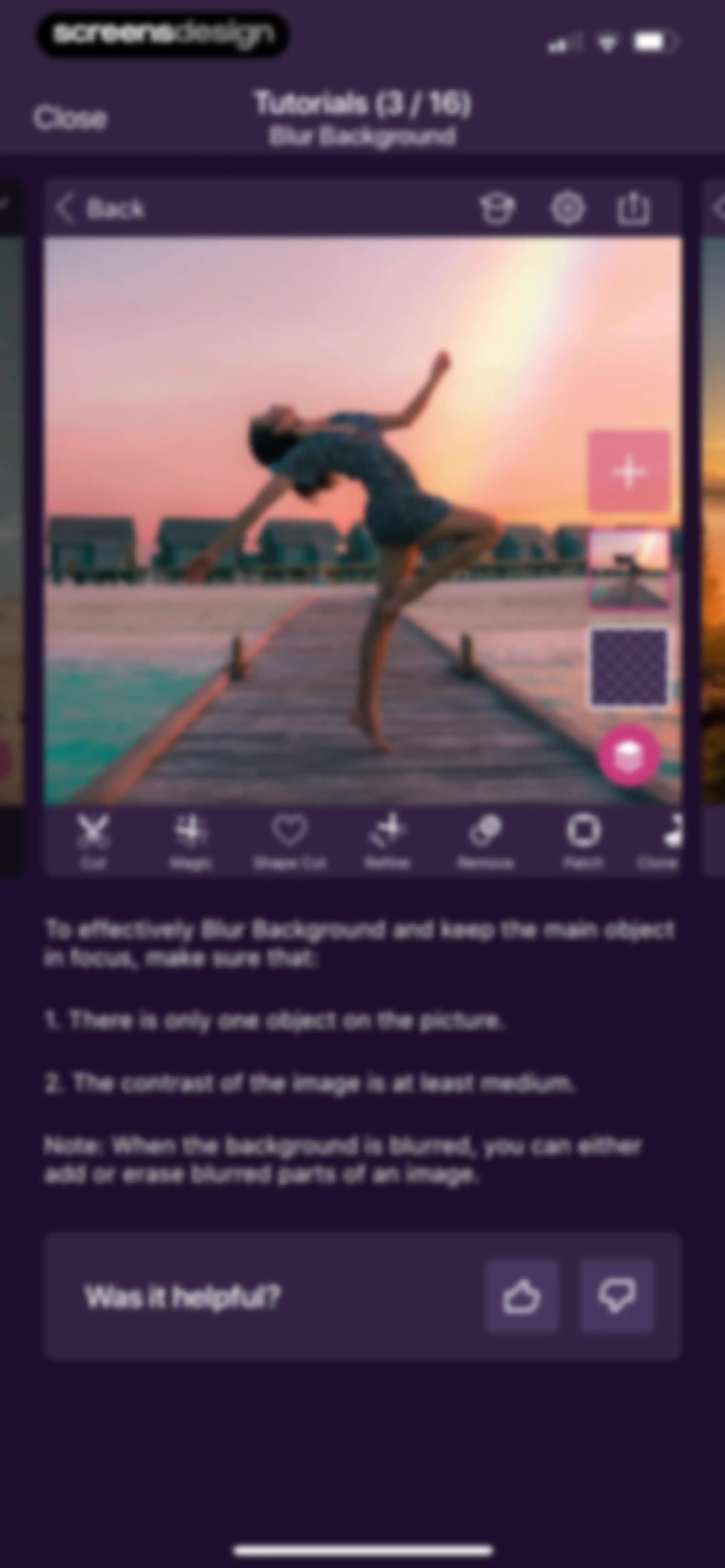 Pixomatic - AI Photo BG Eraser screen 29