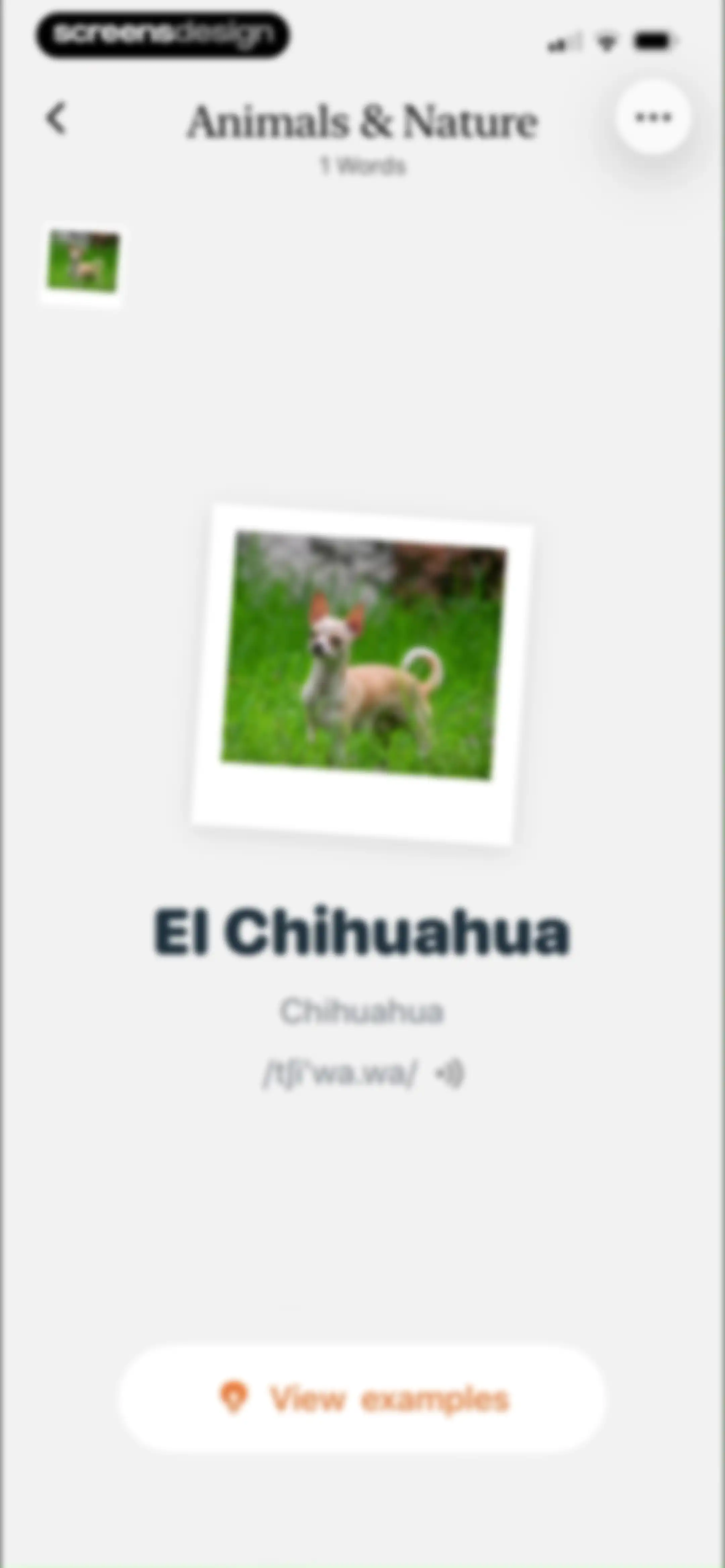CapWords: AI Language Tutor screen 48