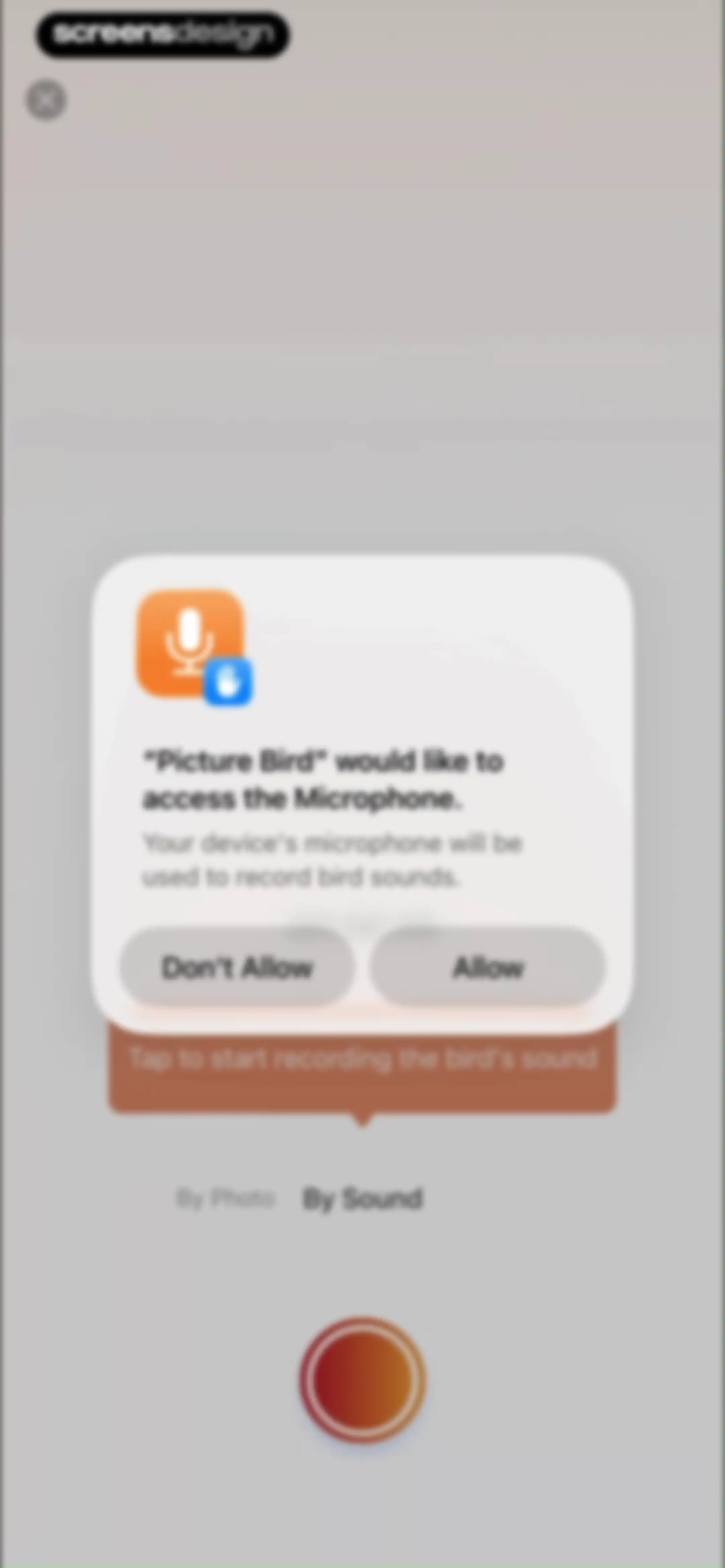 Picture Bird: Bird identifier screen 57