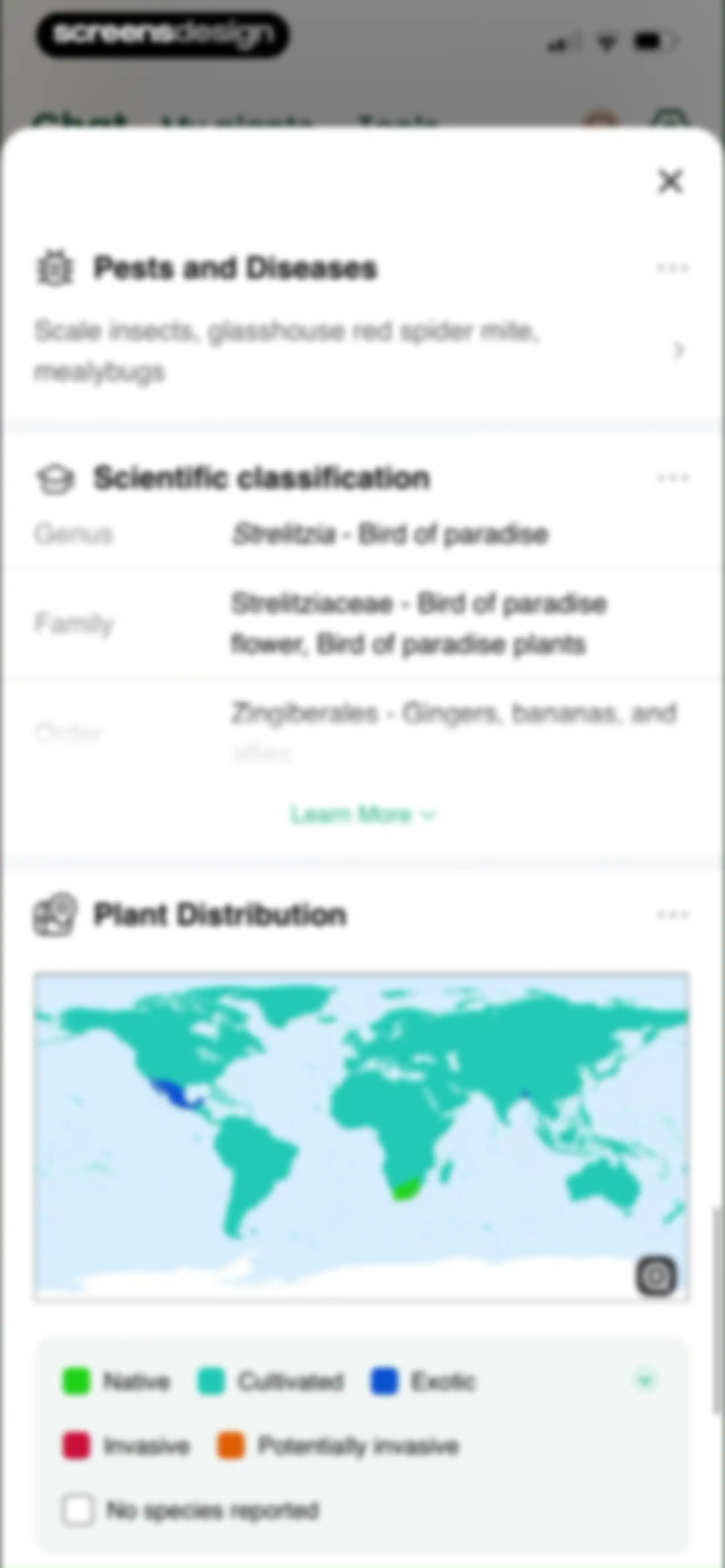 PlantAI: Identifier & Diagnose screen 38