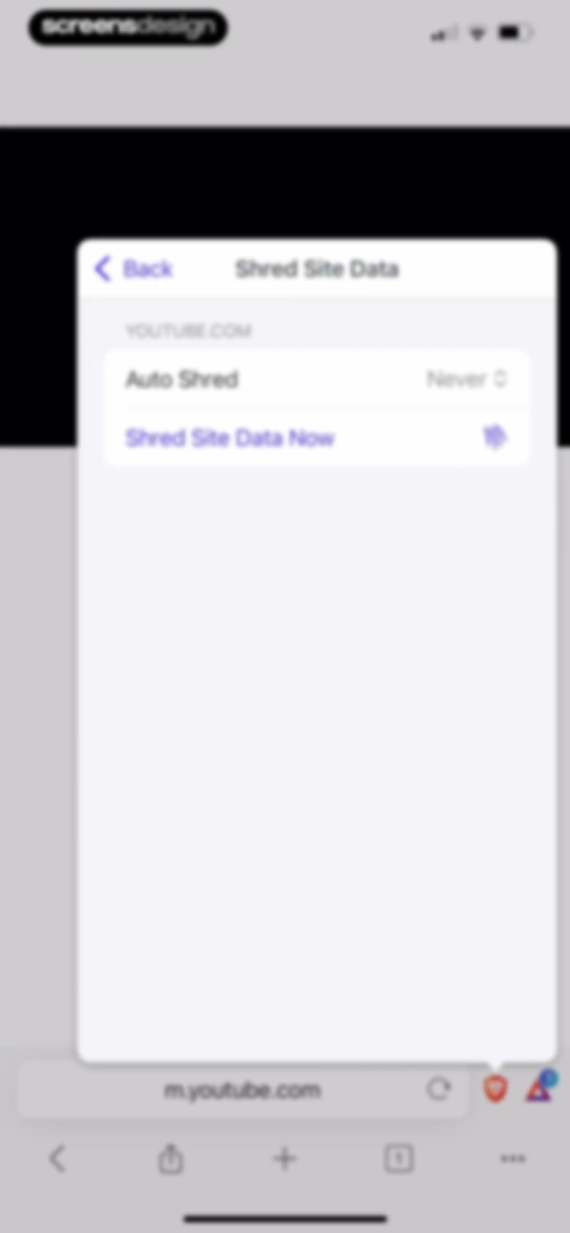 Brave Browser & Search Engine screen 28