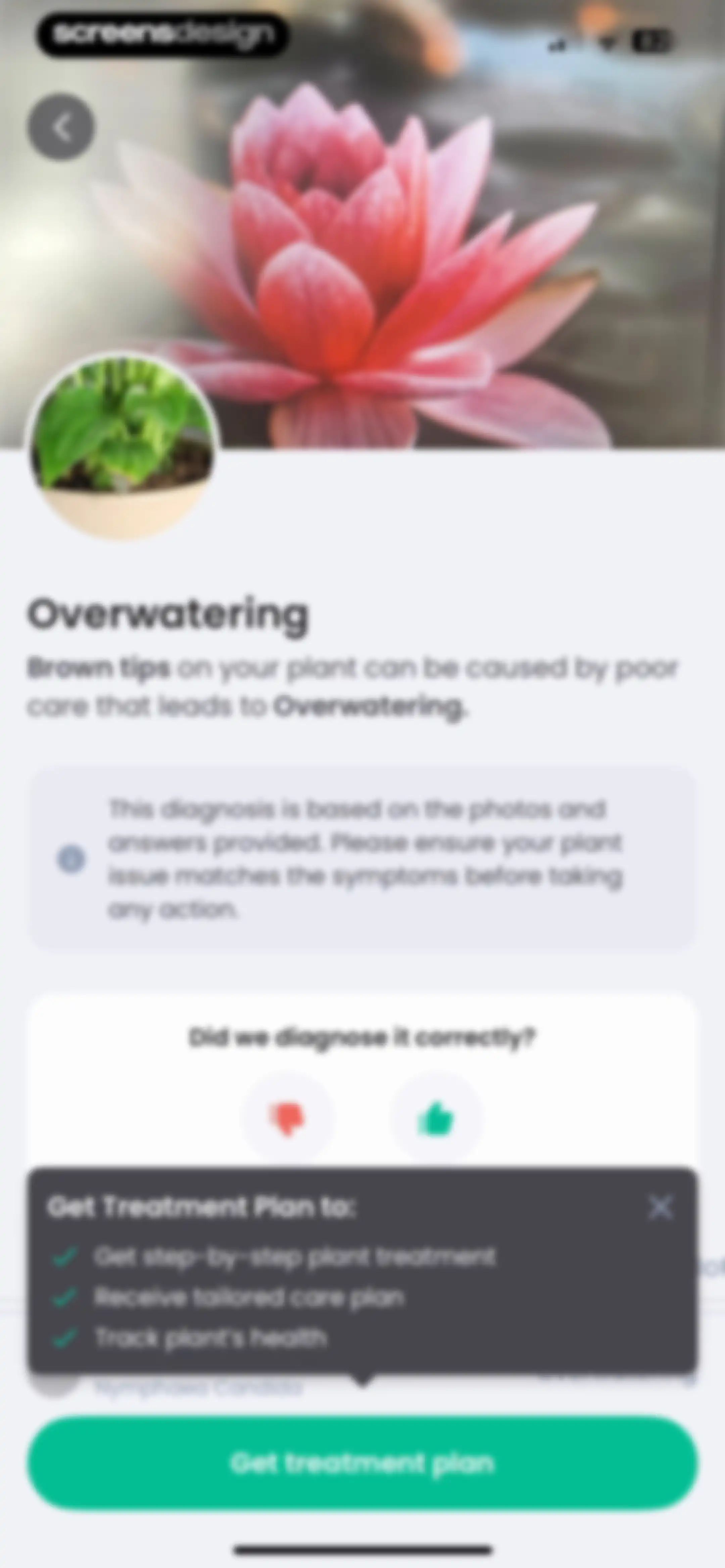 PlantIn: Plant Identifier・Care screen 75