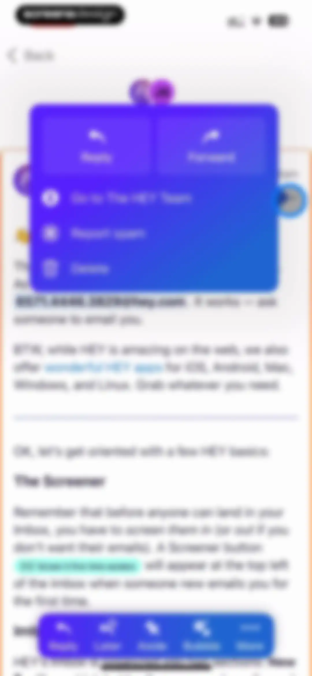 HEY Email screen 51
