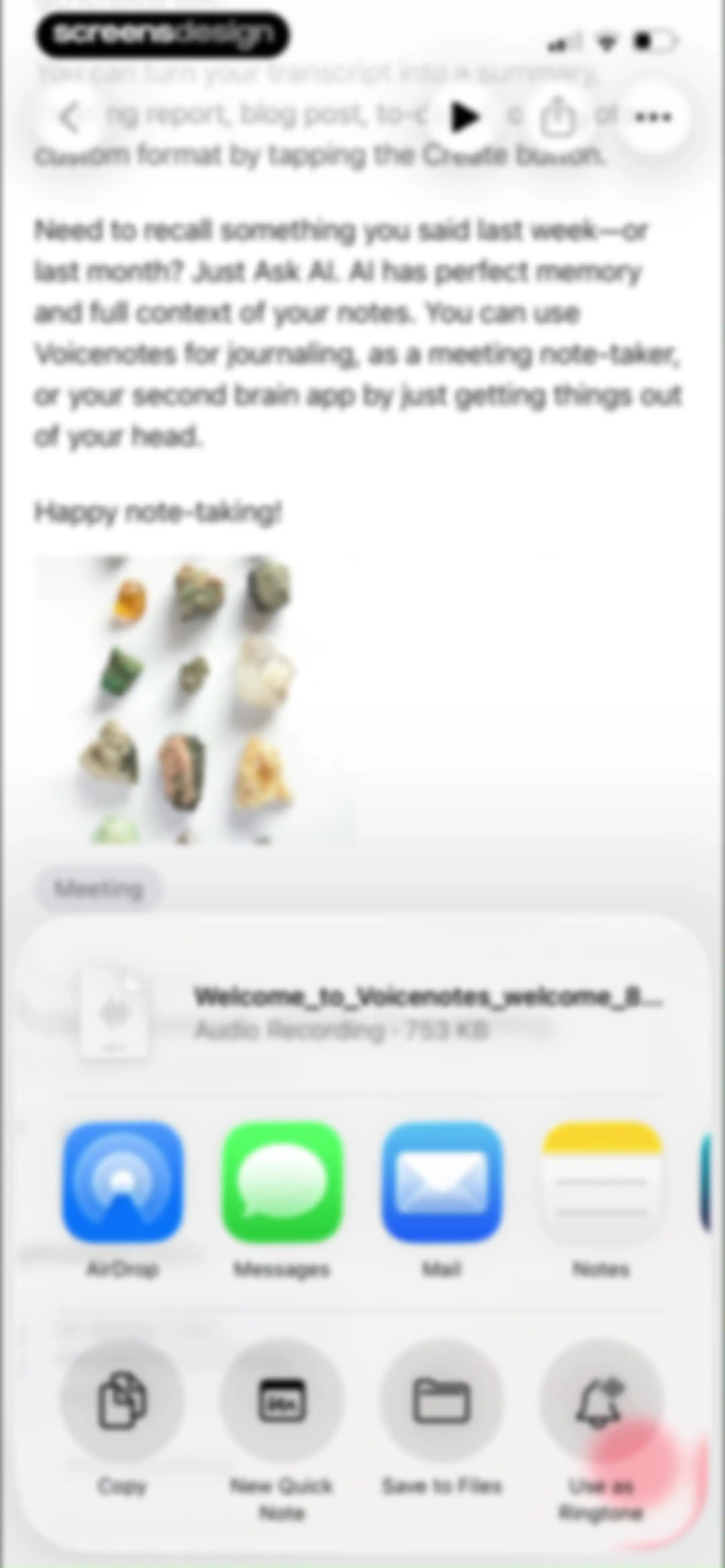 Voicenotes AI Notes & Meetings screen 42