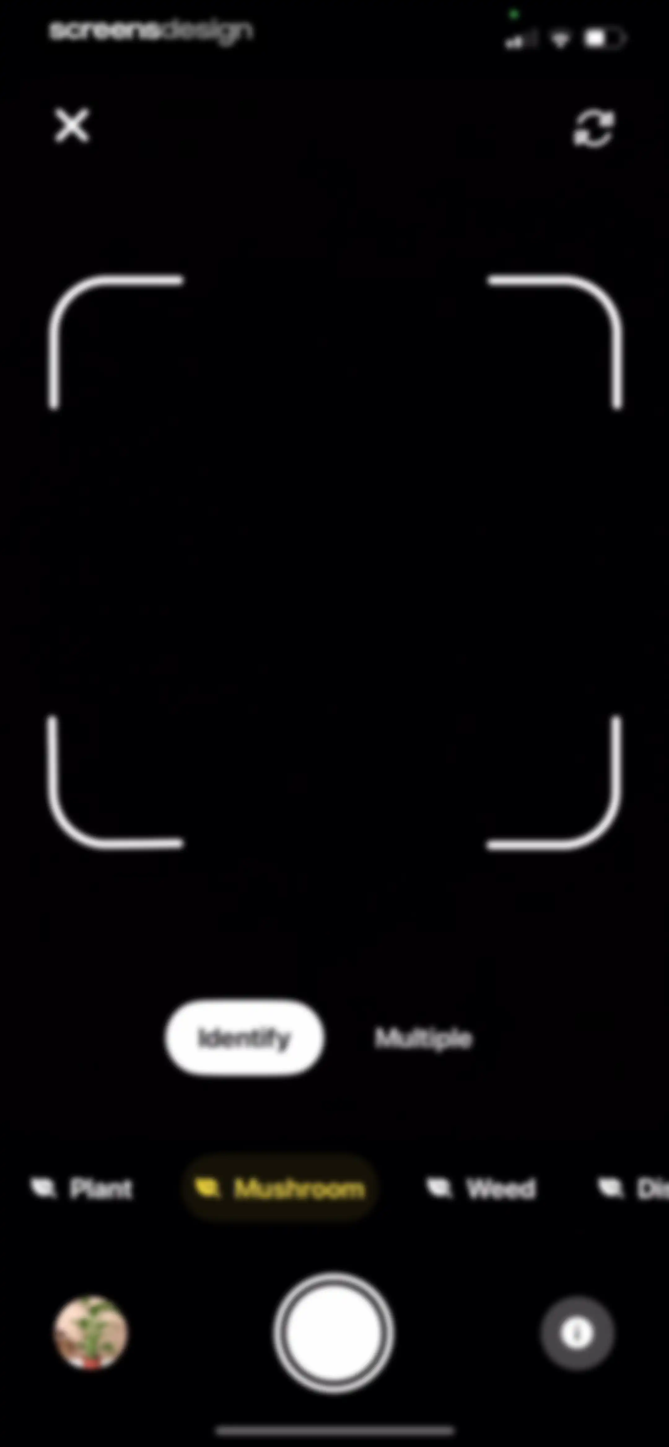 Plant App: Plant Identifier screen 73