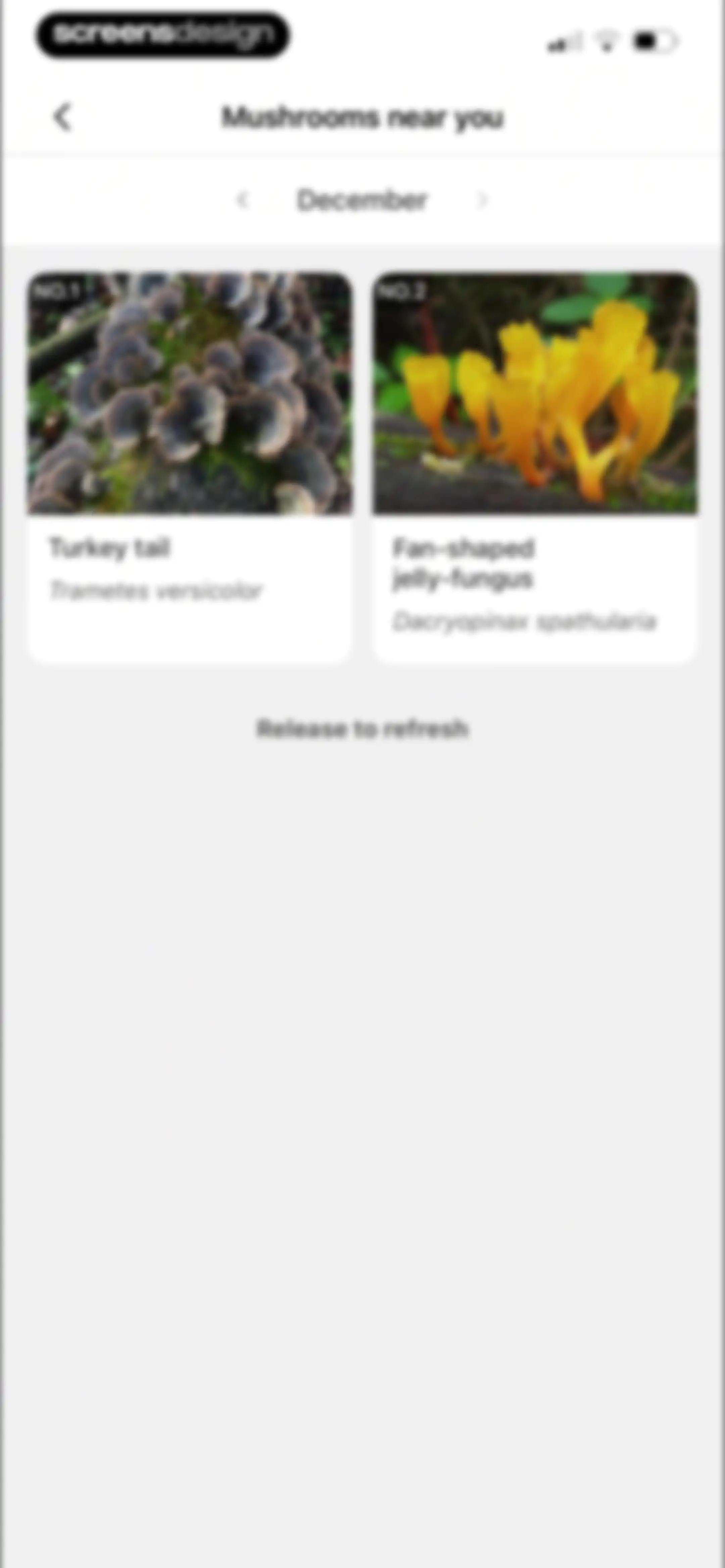 Picture Mushroom: Identifier screen 85