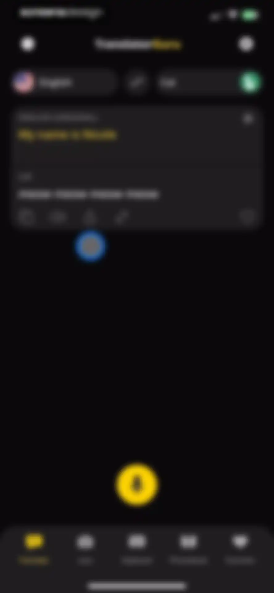 Translator Guru: Voice & Text screen 16