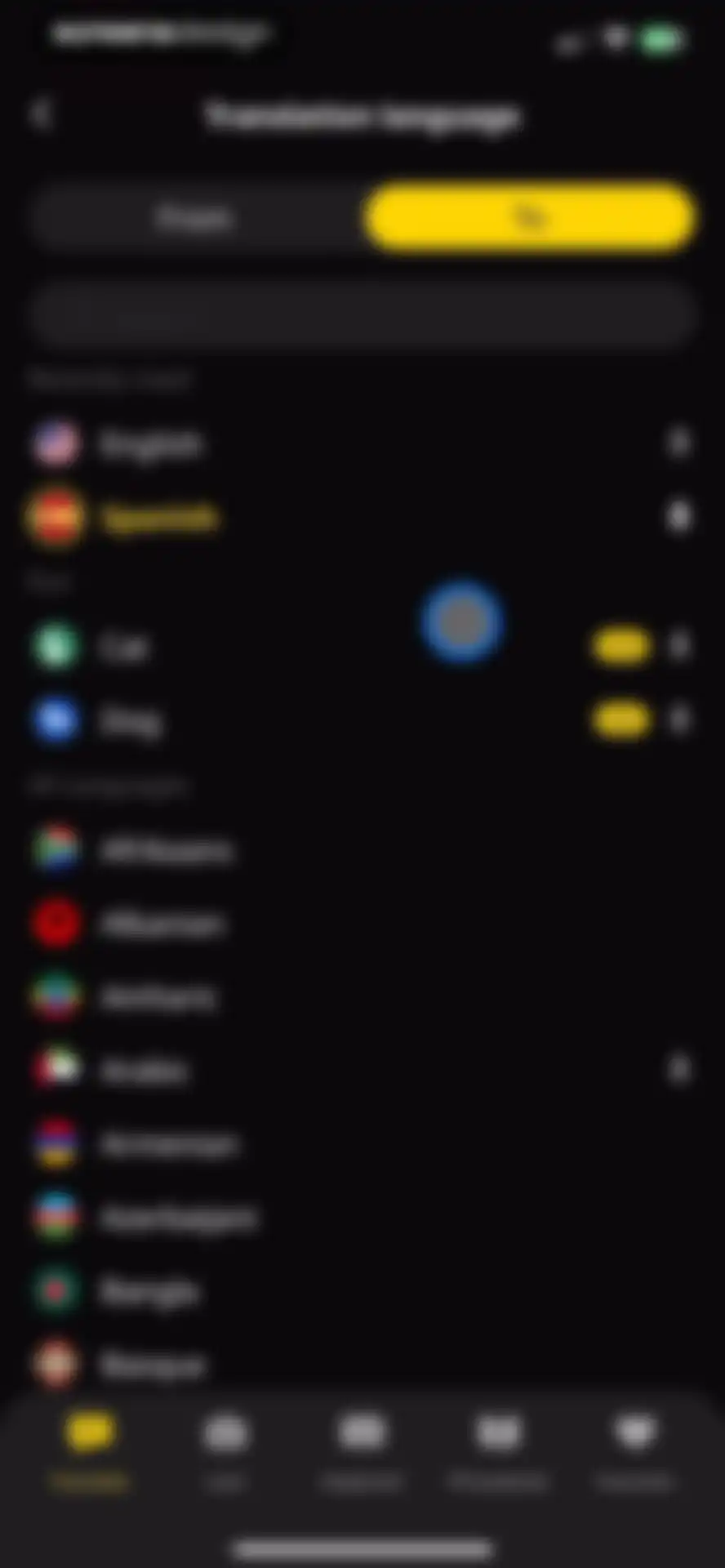 Translator Guru: Voice & Text screen 15