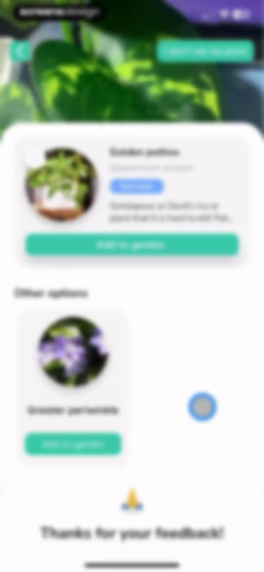 Plant Identifier - PlantMe screen 14
