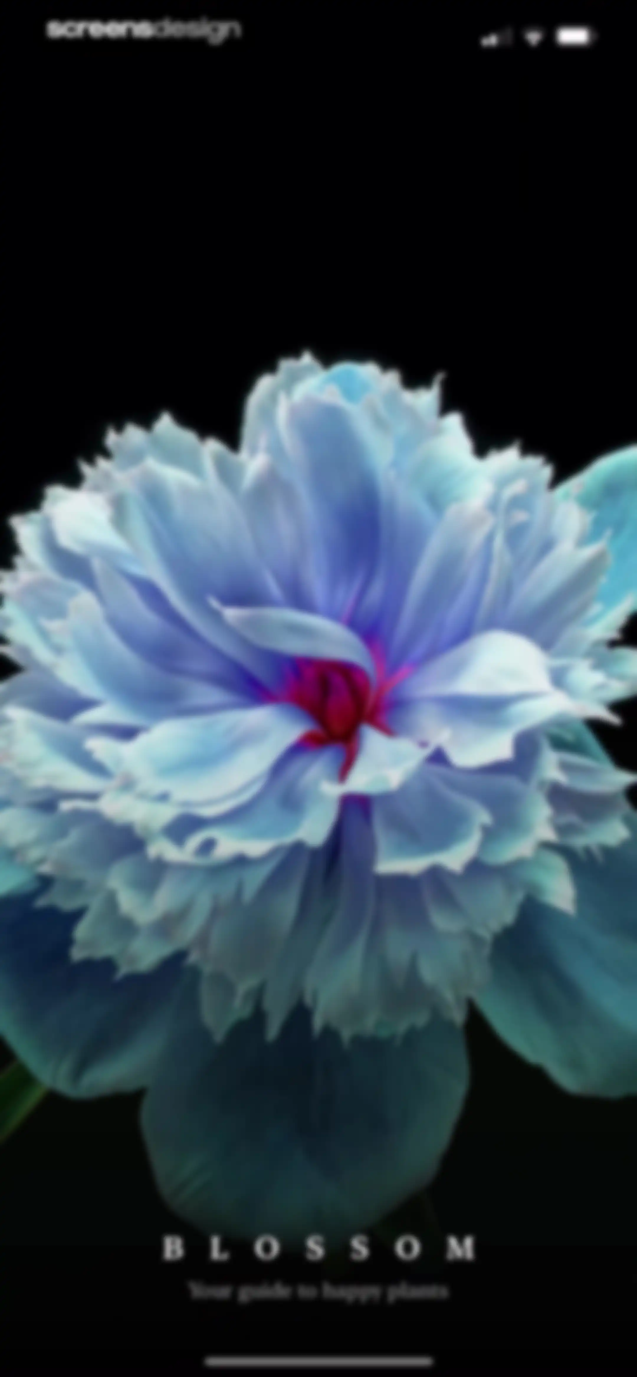 Blossom - Plant Care Guide screen 2