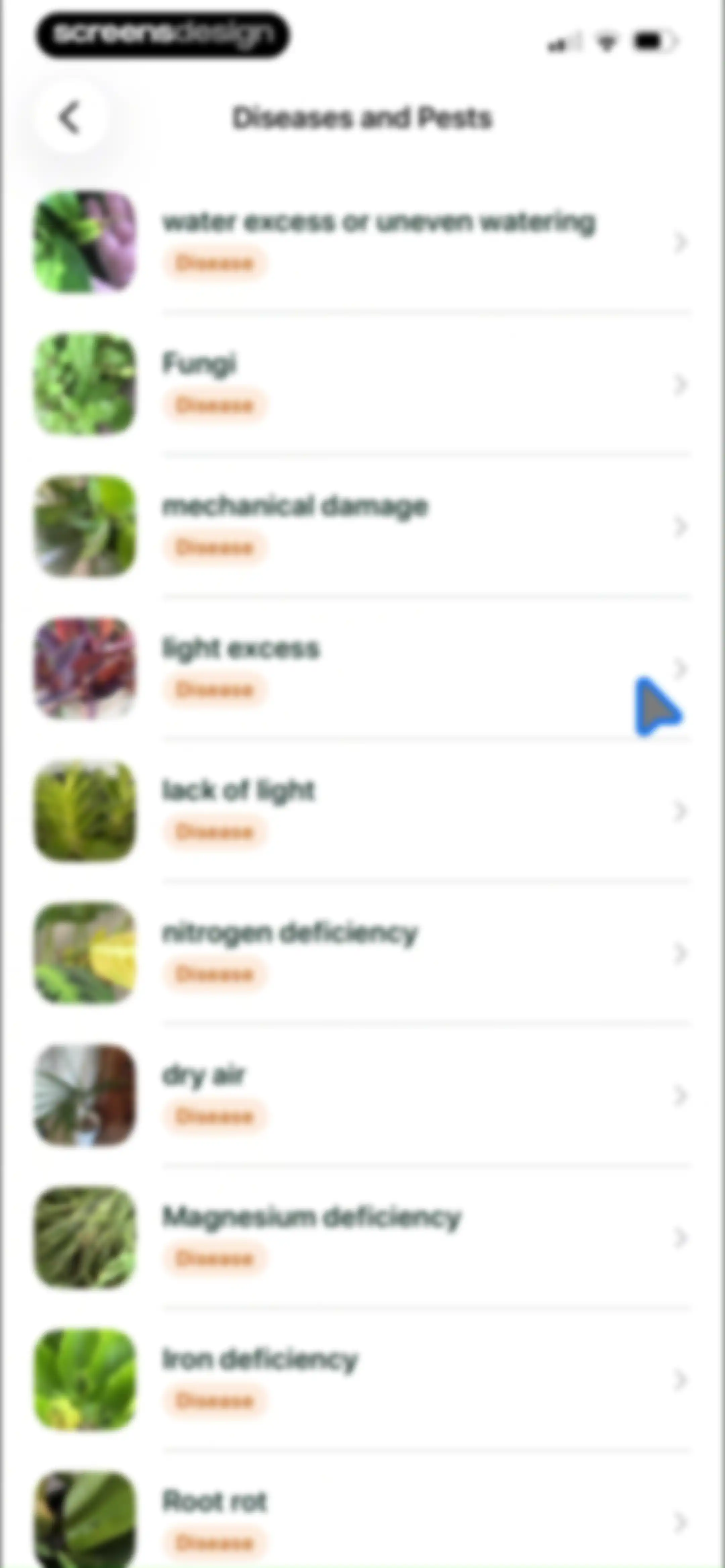 Planto: Plant Identifier screen 19