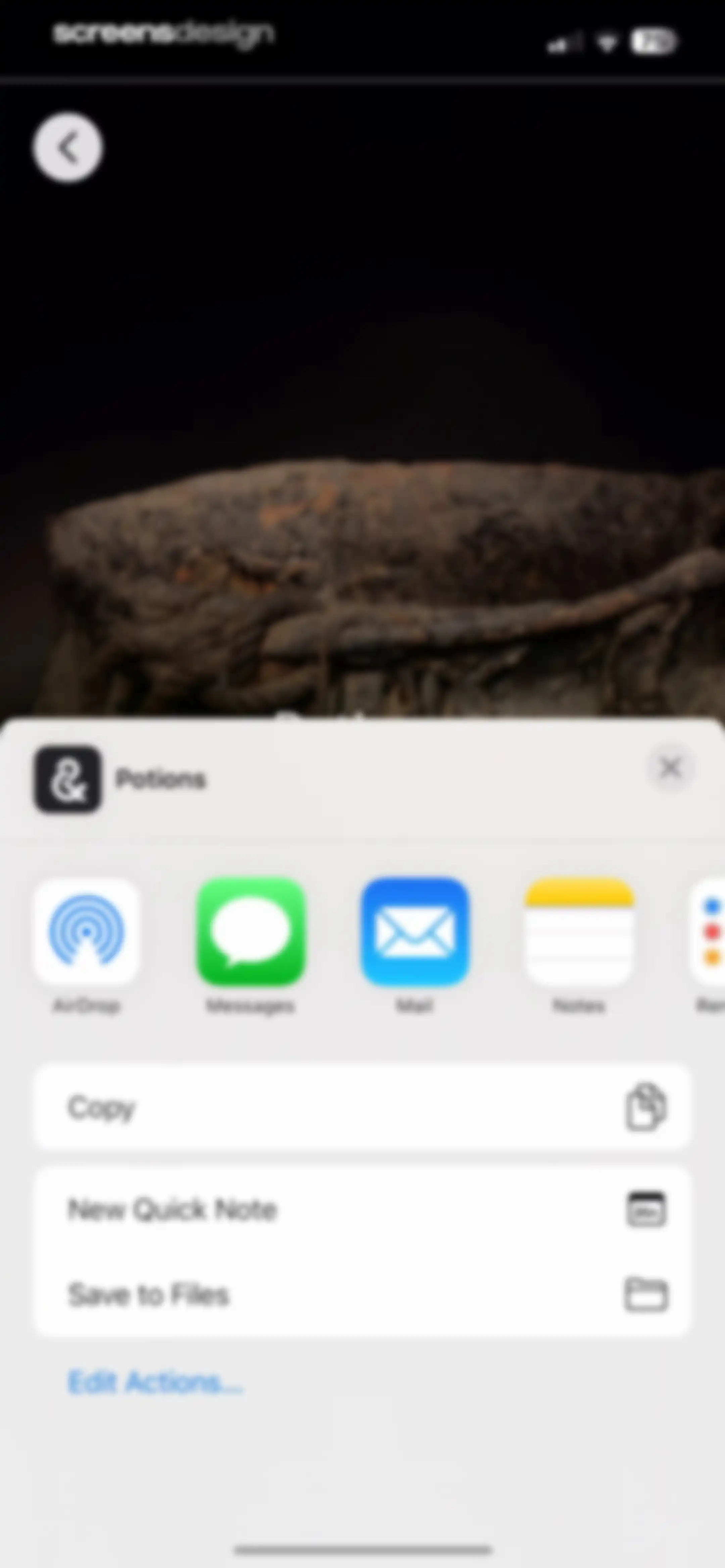 Google Arts & Culture screen 45