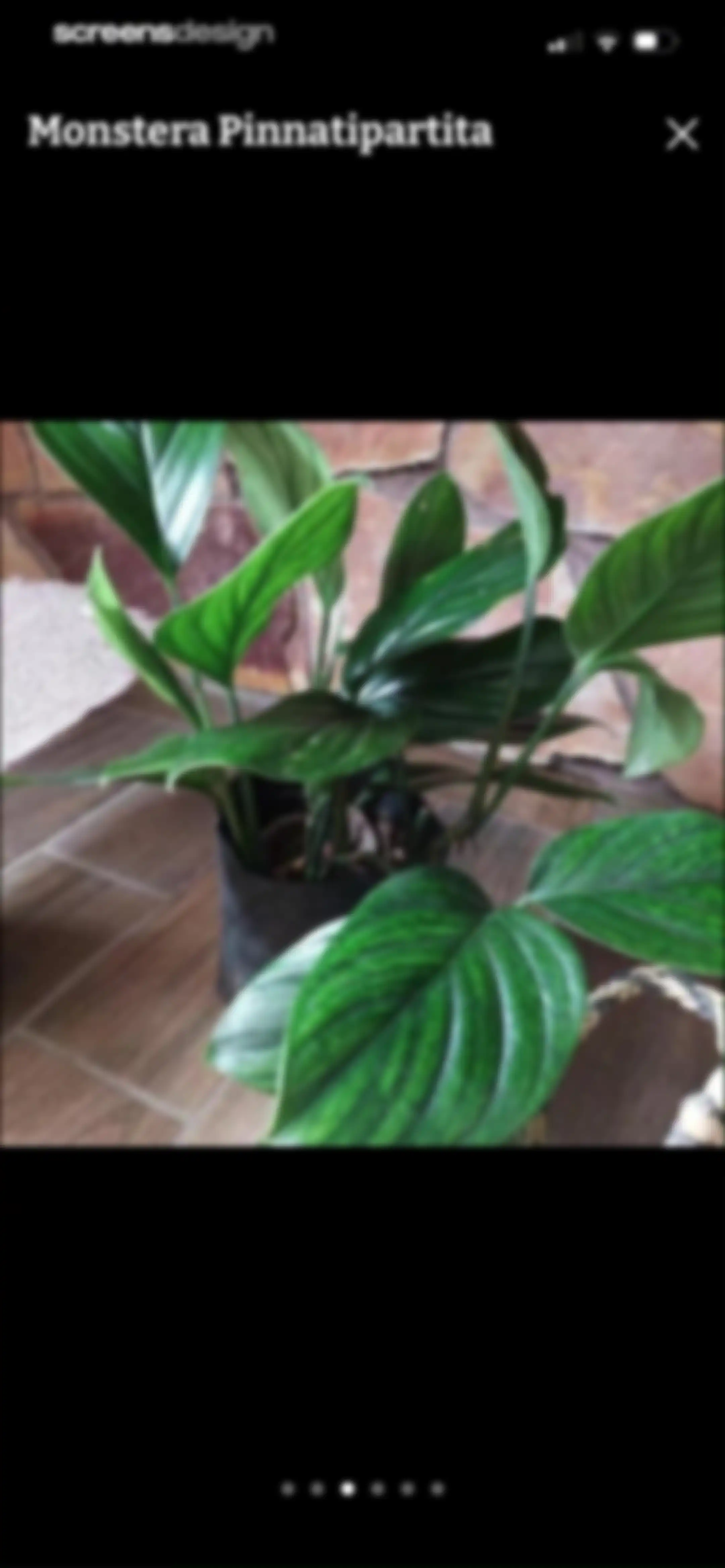 Plant Identification－Plantaria screen 40