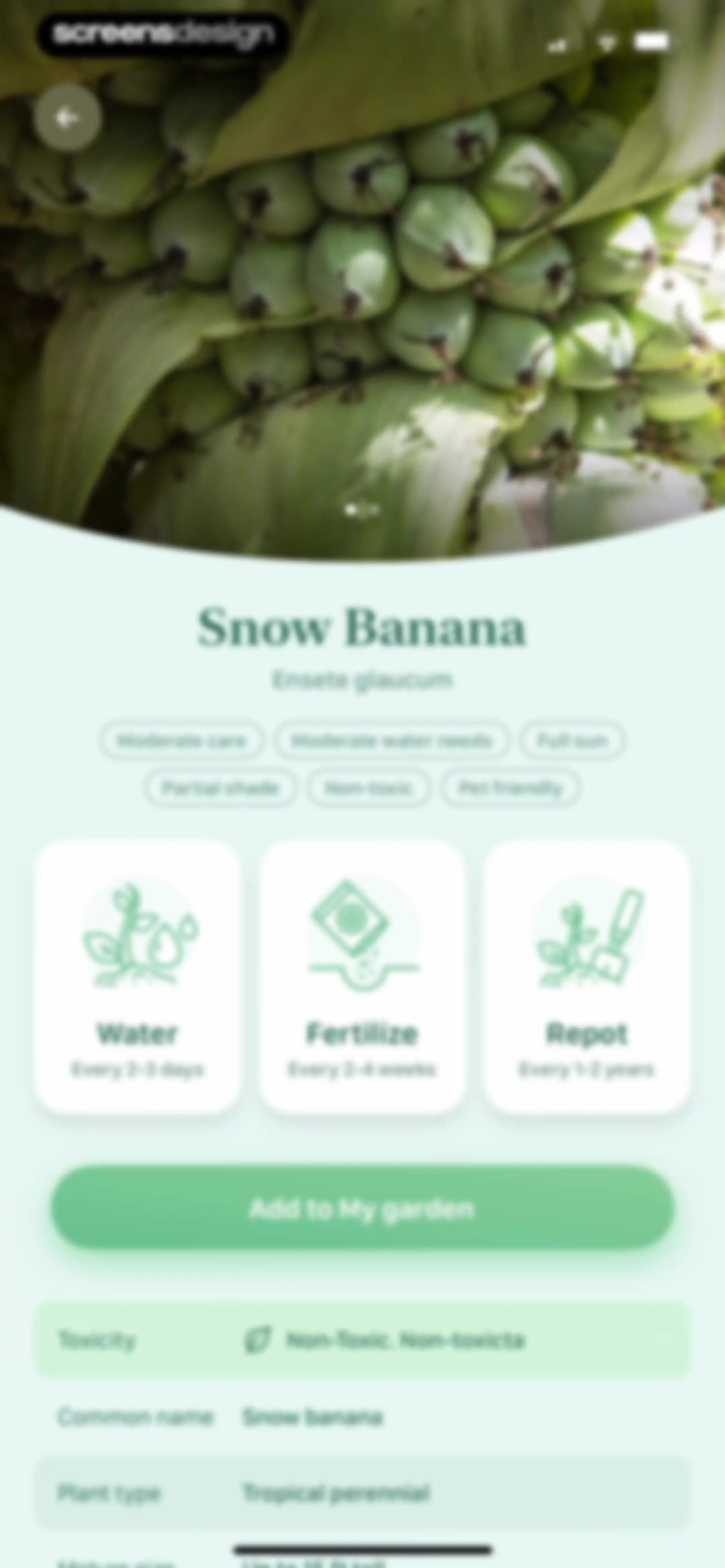 Blossom - Plant Care Guide screen 90