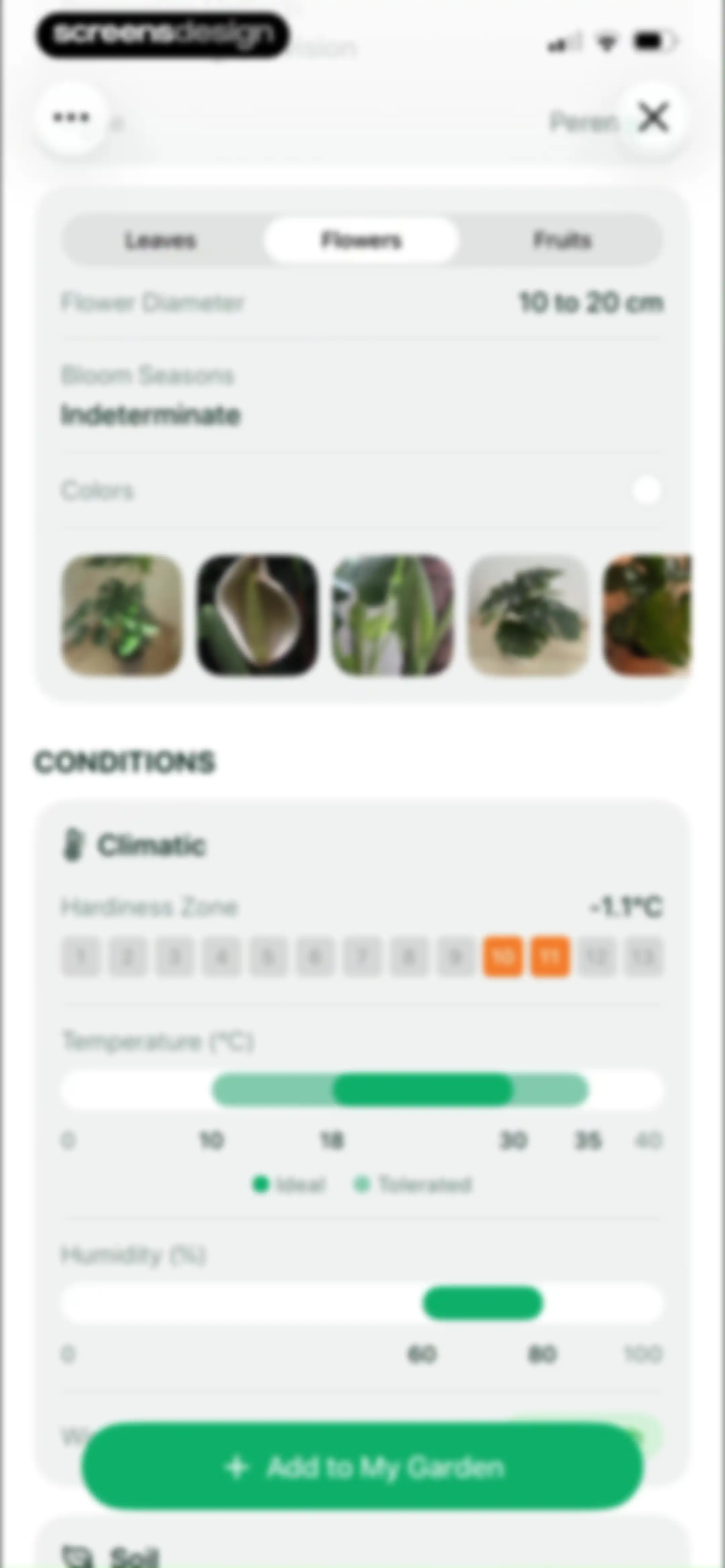 Planto: Plant Identifier screen 16