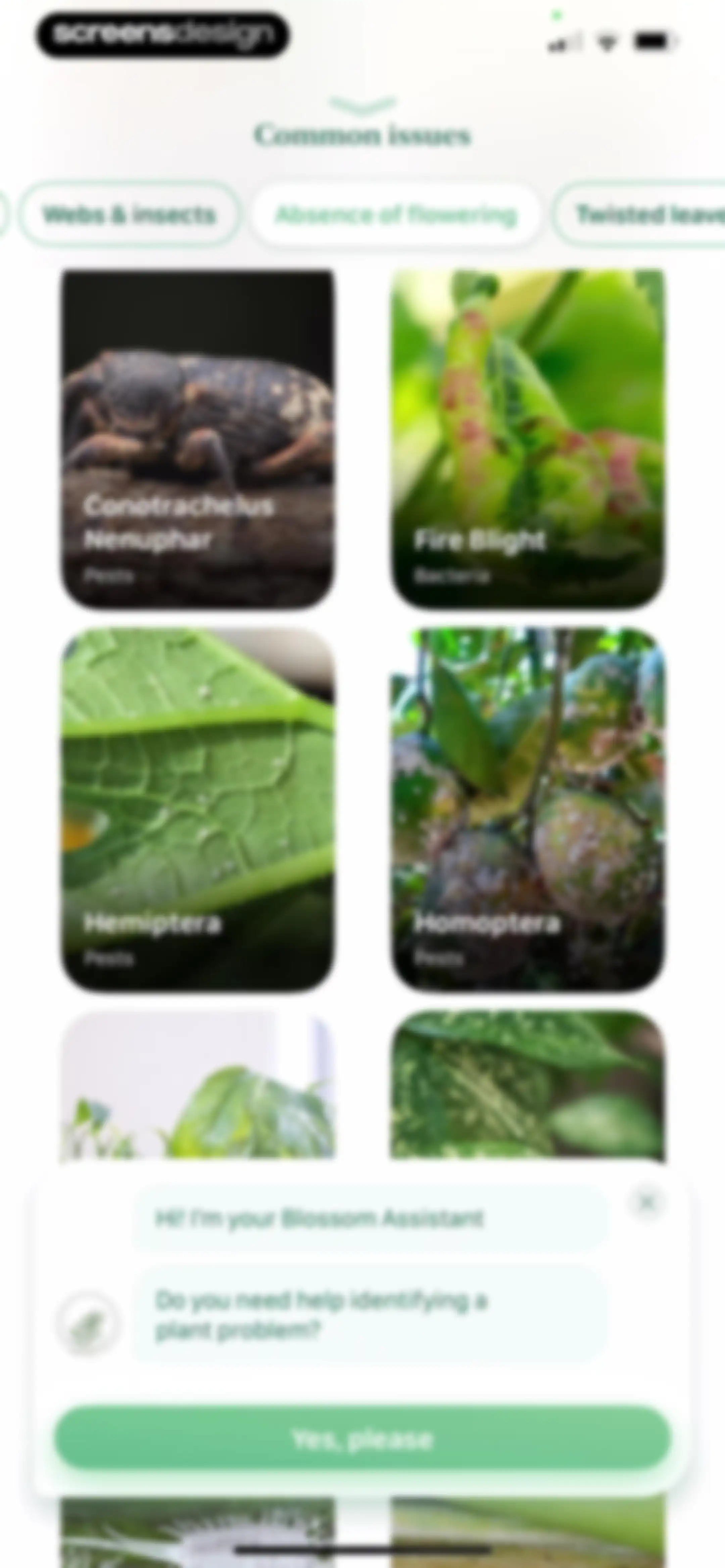 Blossom - Plant Care Guide screen 183