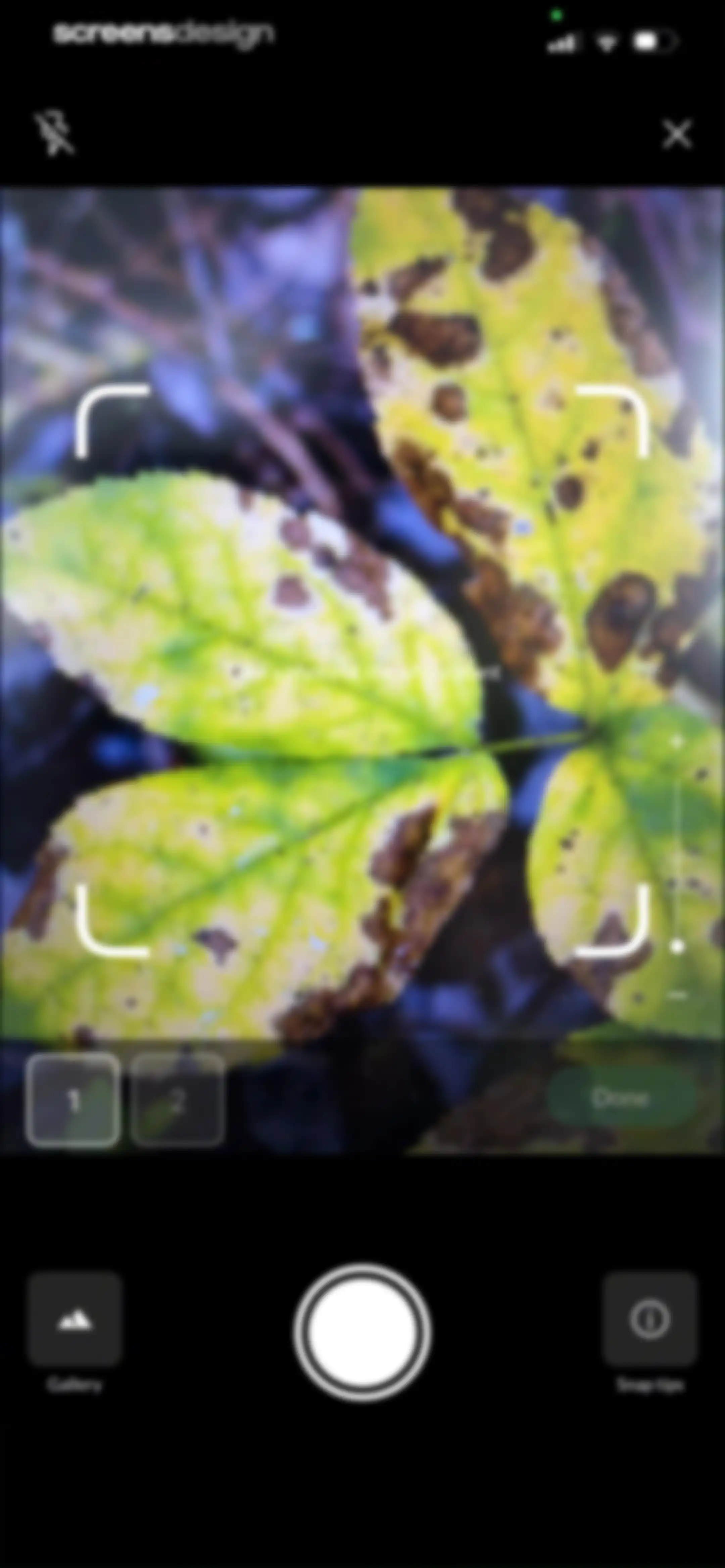 Plant Identification－Plantaria screen 71
