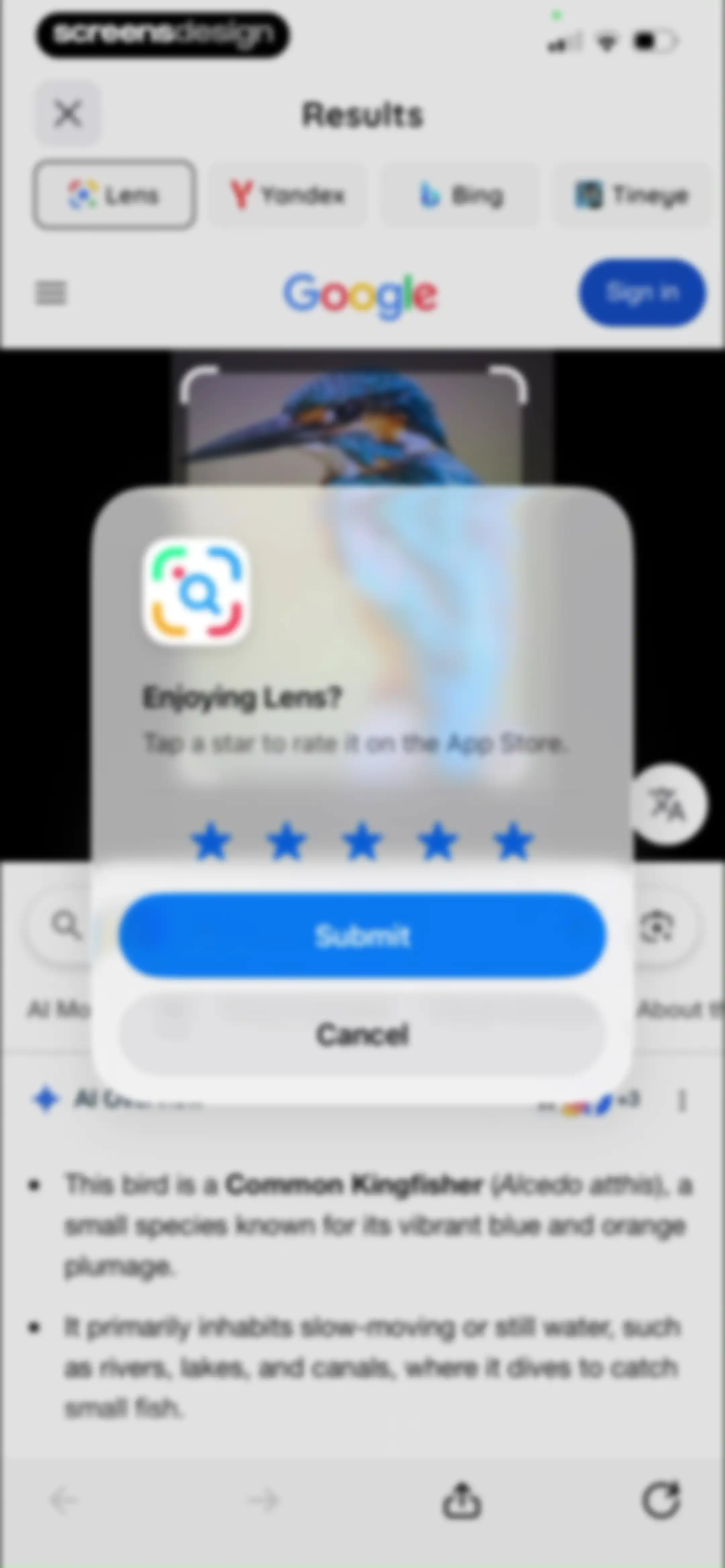 Lens: Translate & Image Search screen 19