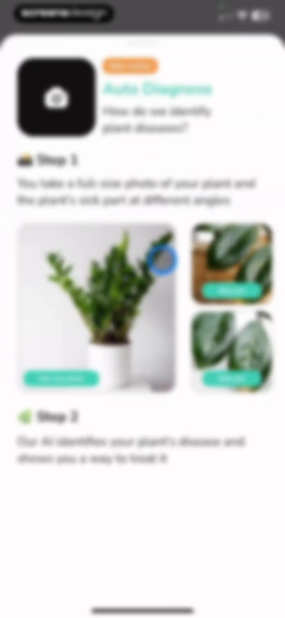 Plant Identifier - PlantMe screen 49