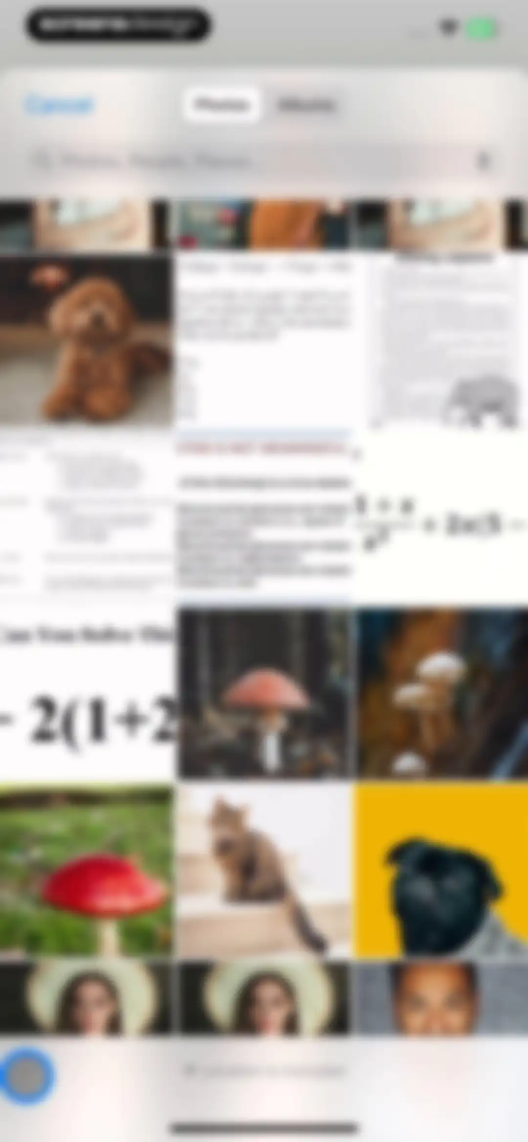 MeowTalk Cat Translator screen 12
