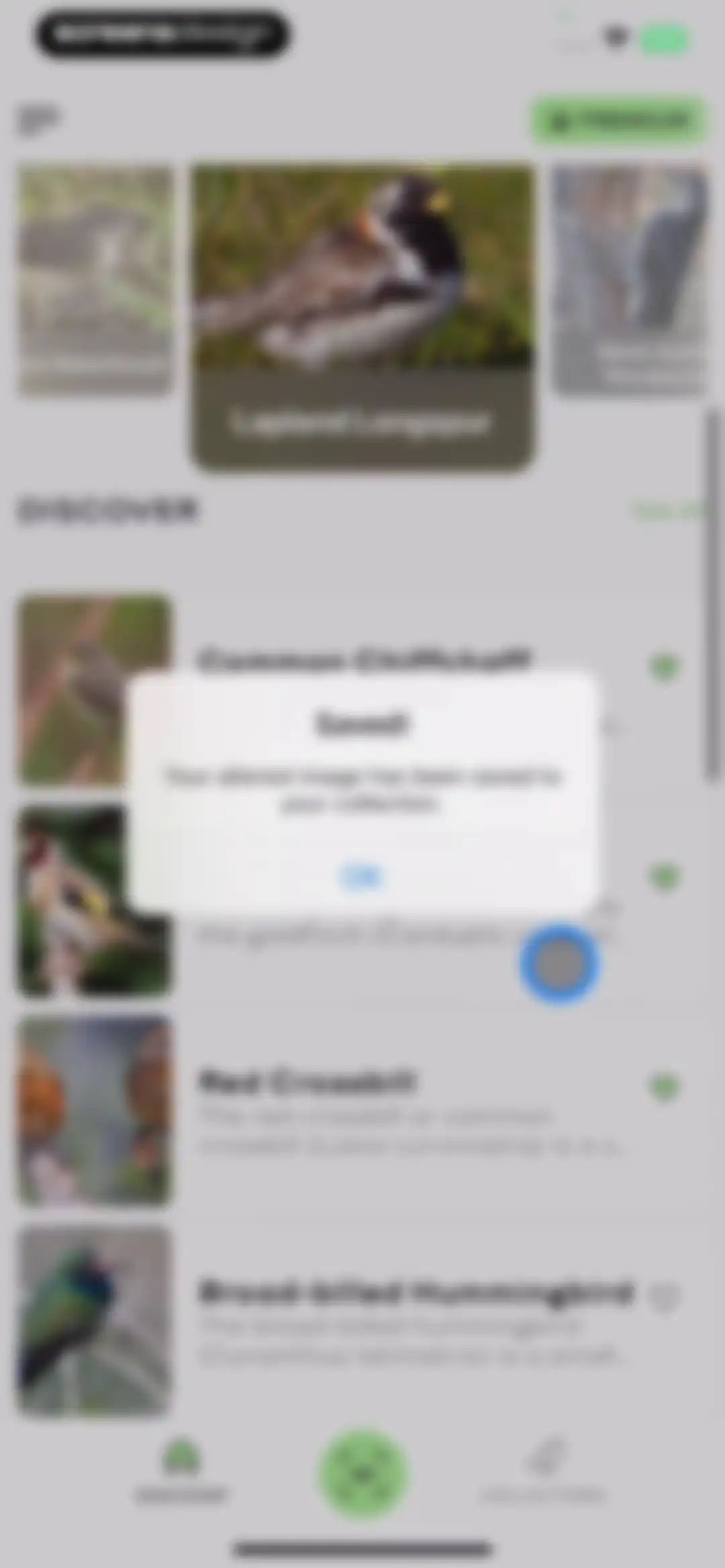Bird Sounds Identifier Call ID screen 34