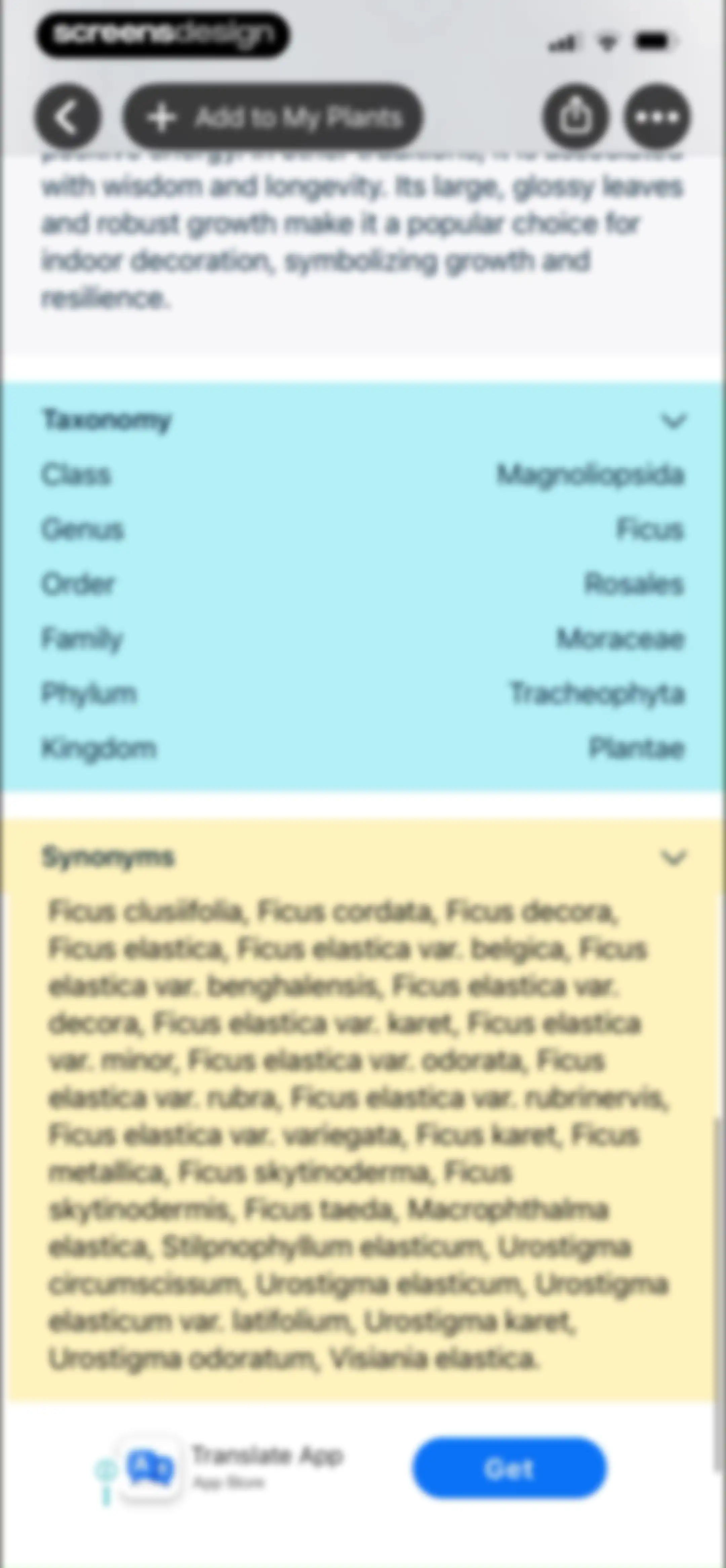 Free Plant Identifier screen 24