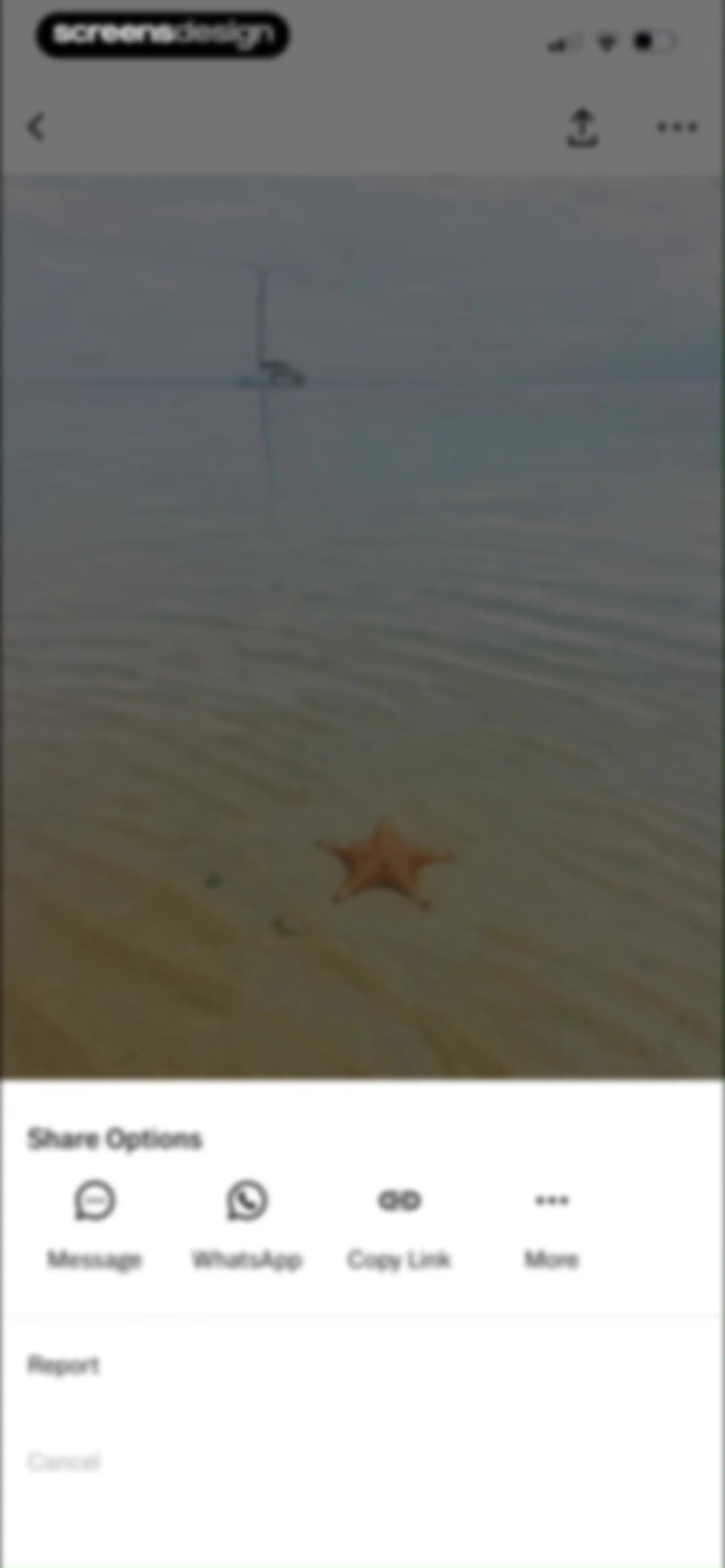 VSCO: Photo & Video Editor screen 112