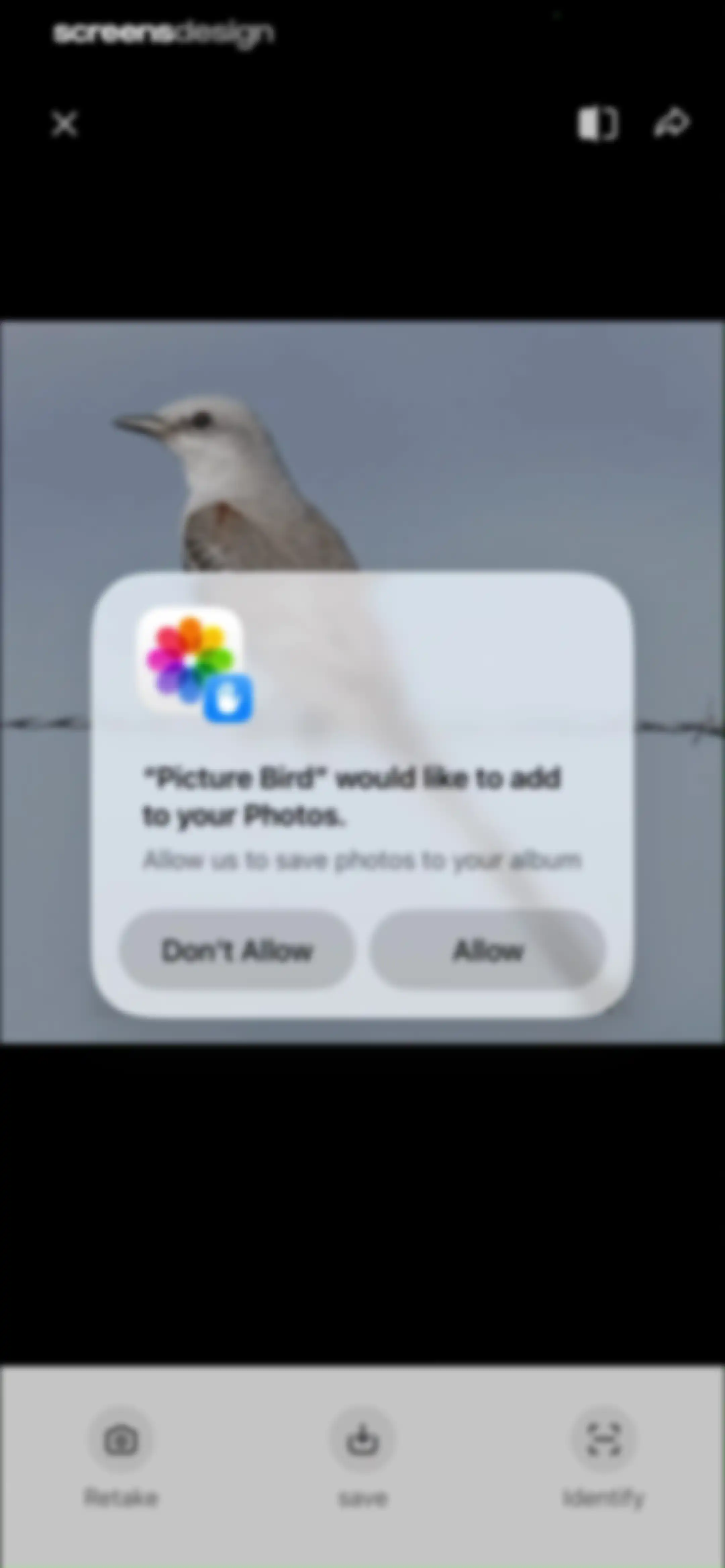 Picture Bird: Bird identifier screen 86