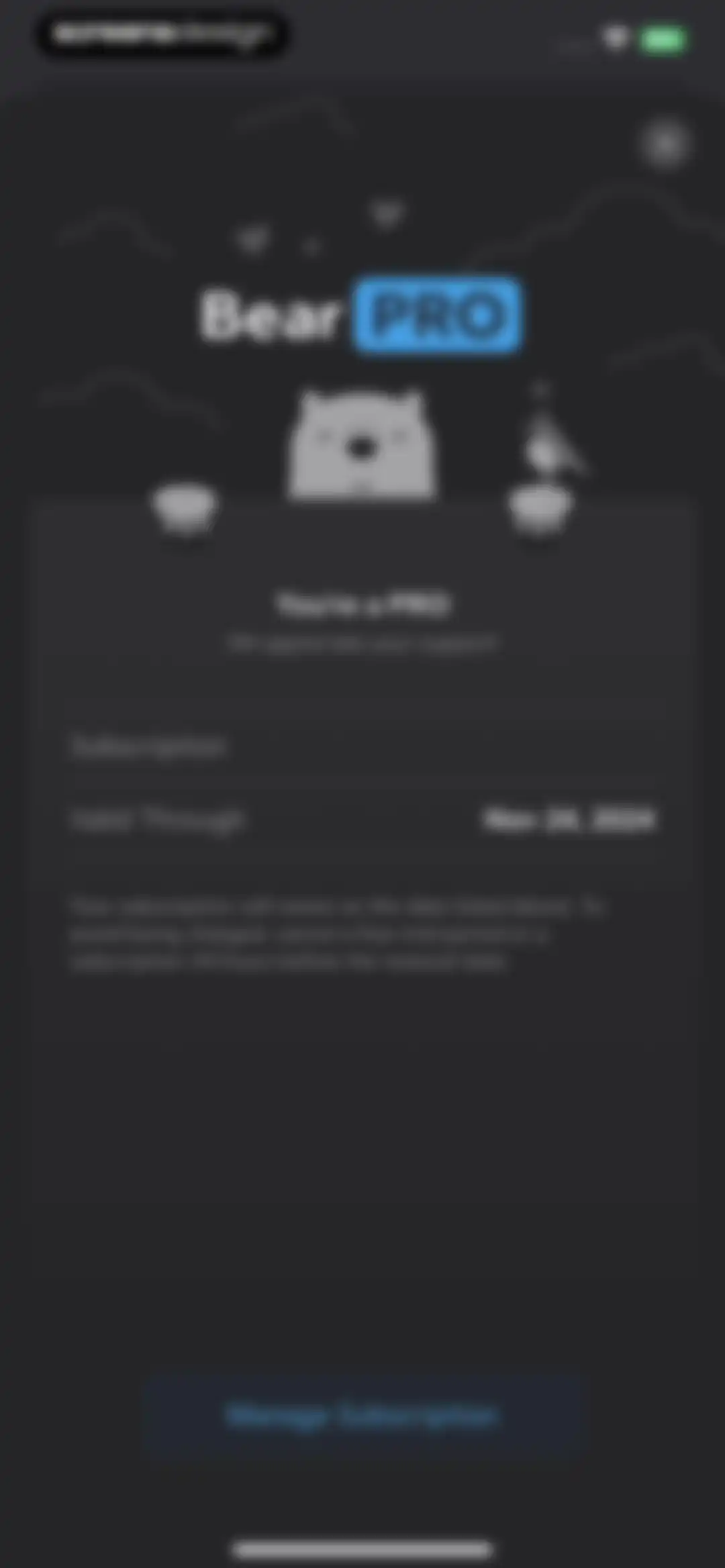 Bear - Markdown Notes screen 34