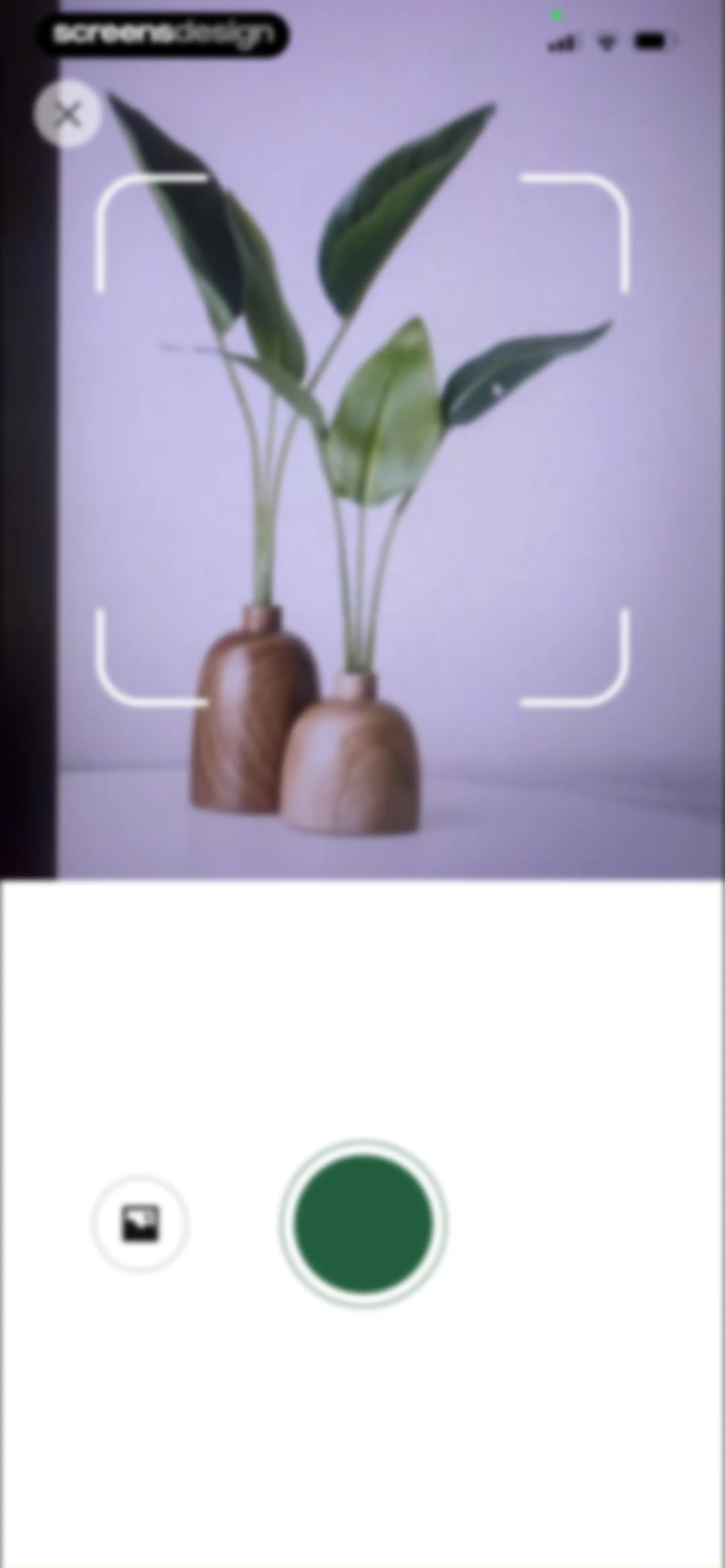 PlantAID:identifier&care guide screen 24