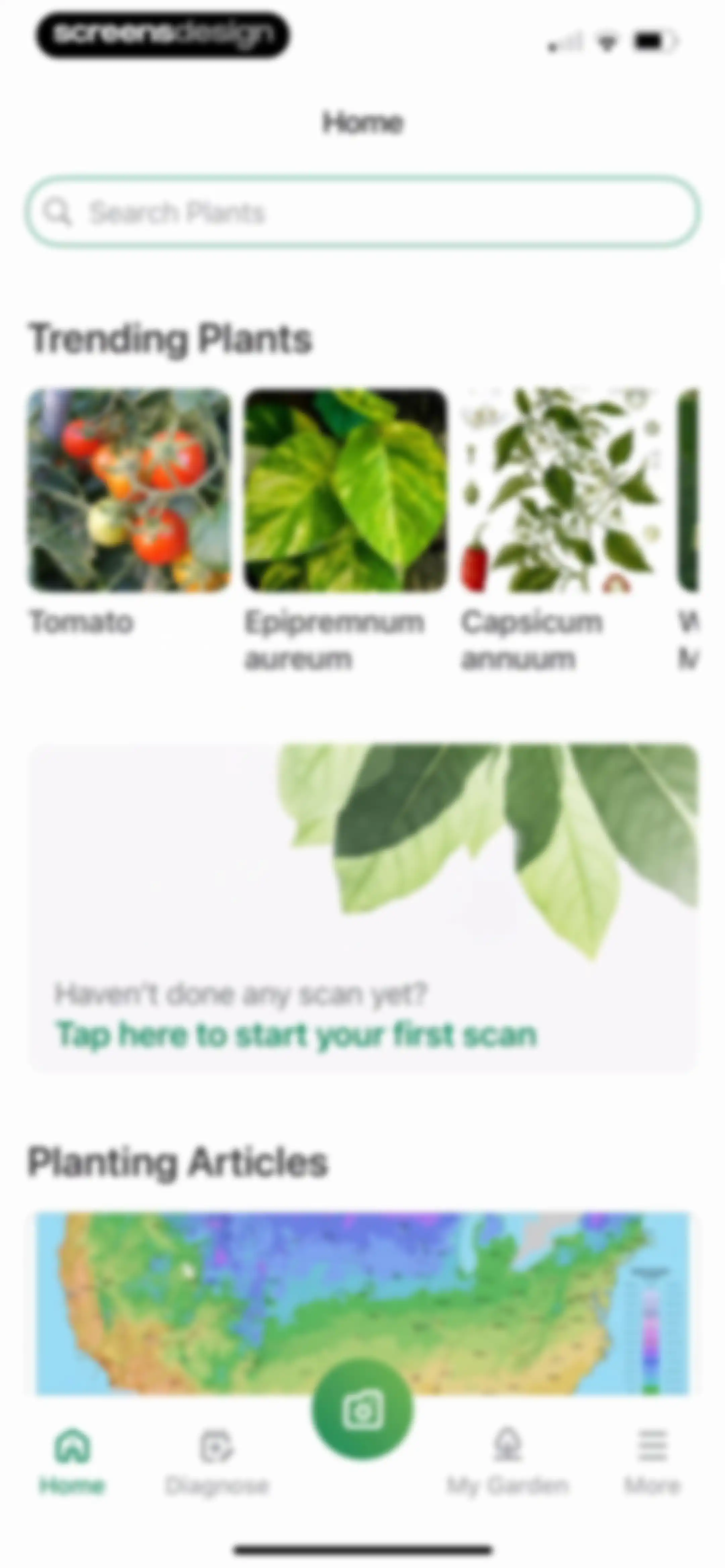 Identify My Plant Now screen 8