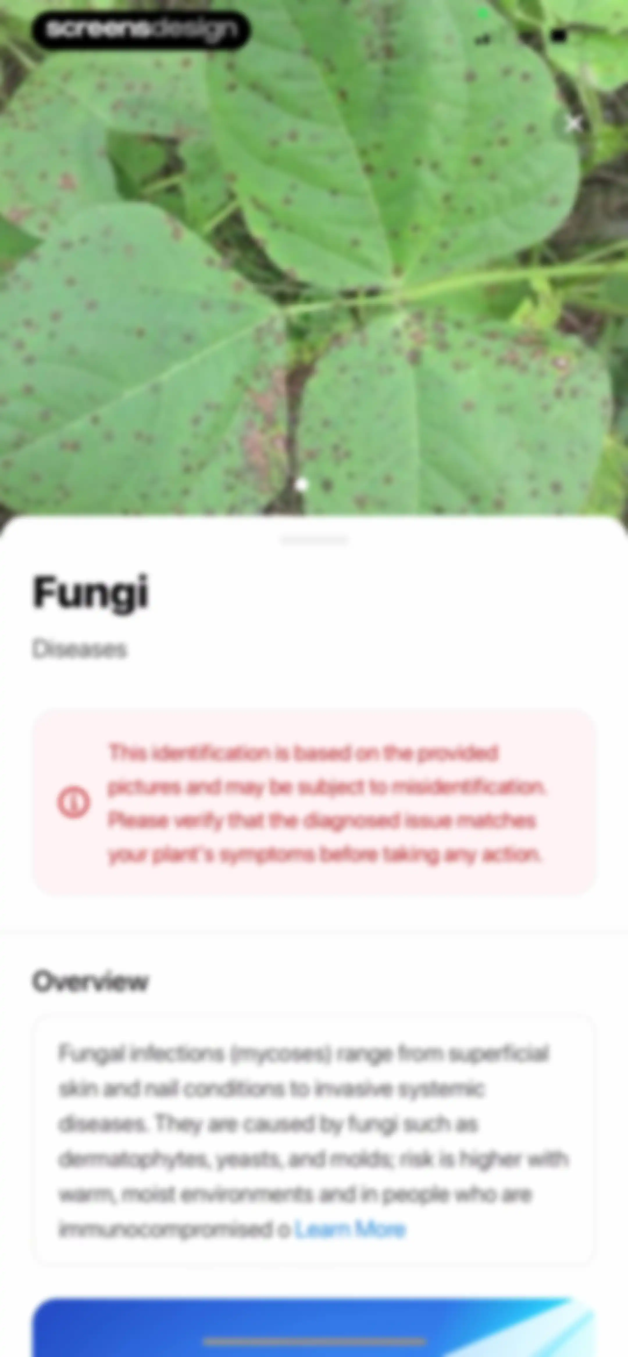 Plant App: Plant Identifier screen 65