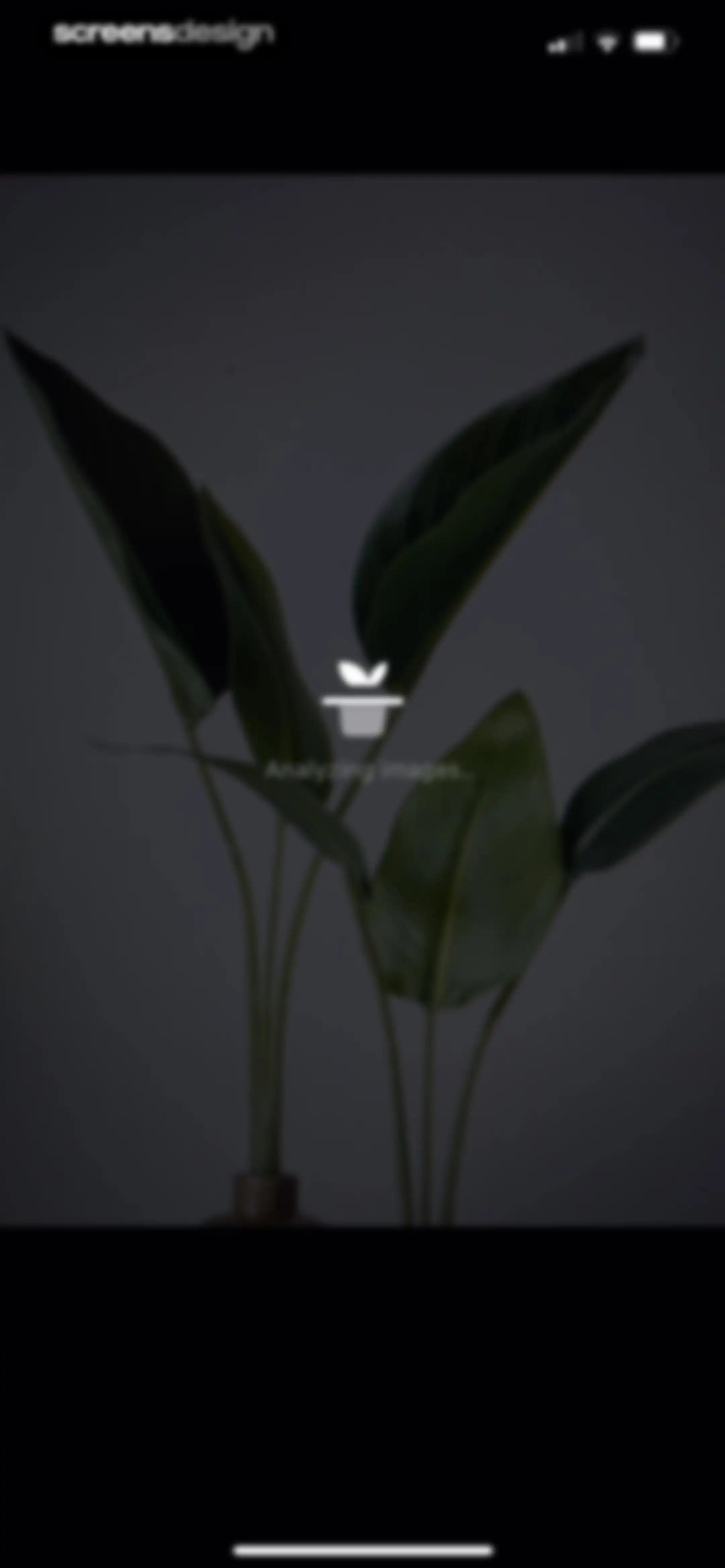 Plant Identifier & Care App screen 24