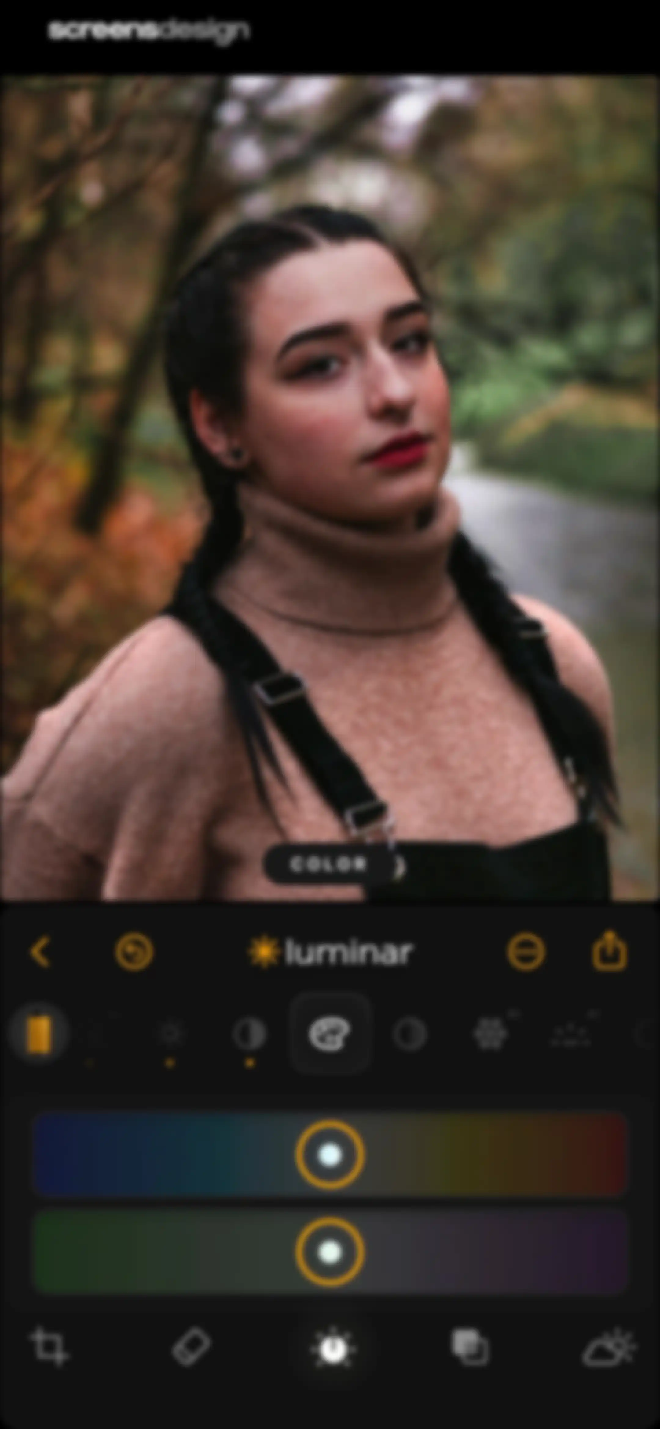 Luminar: Image Editor&Enhancer screen 23