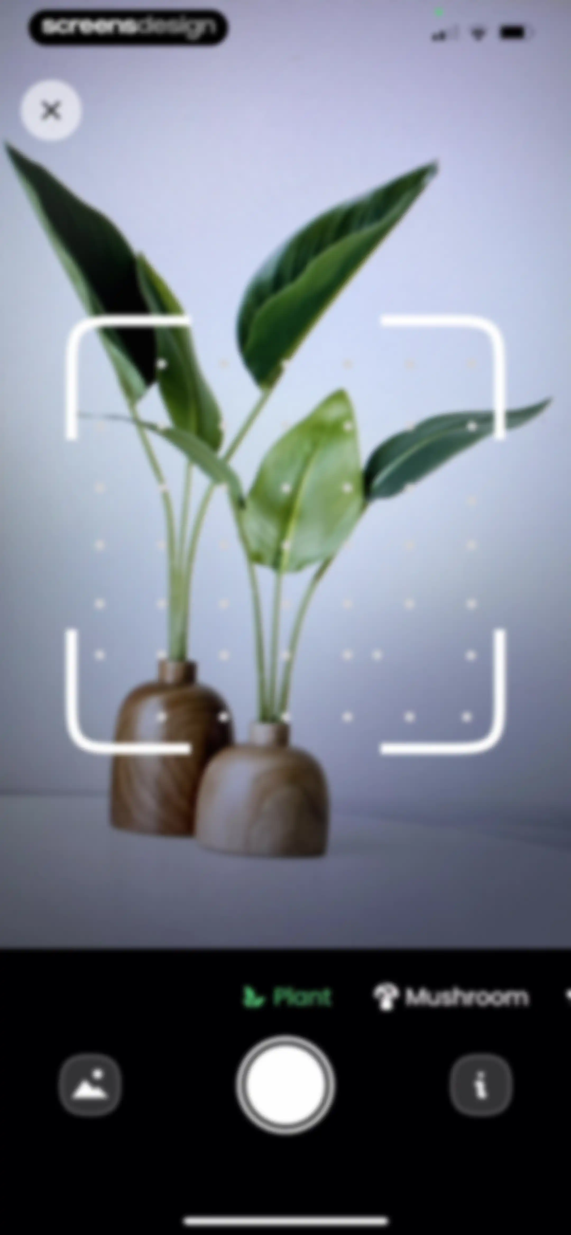 Plant Identifier: Plantiary screen 62