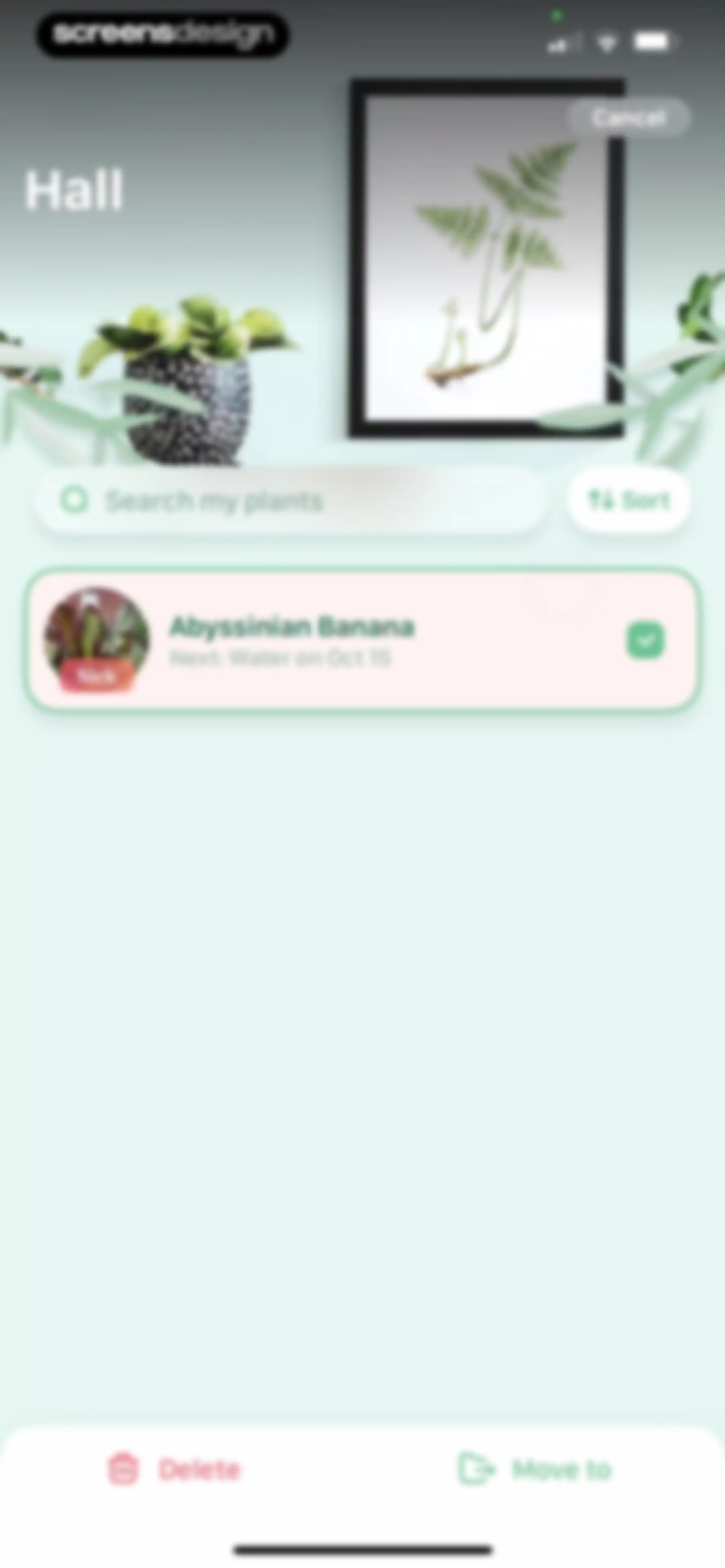 Blossom - Plant Care Guide screen 133