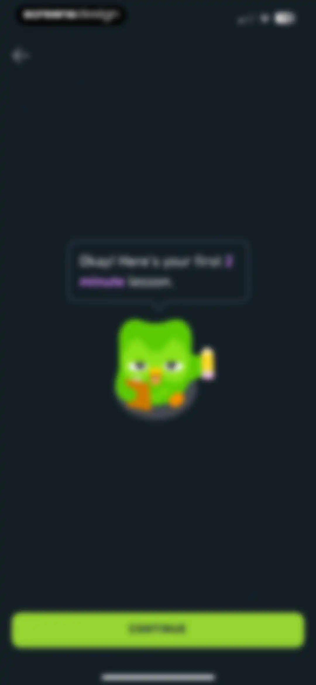 Duolingo: Language Lessons screen 21