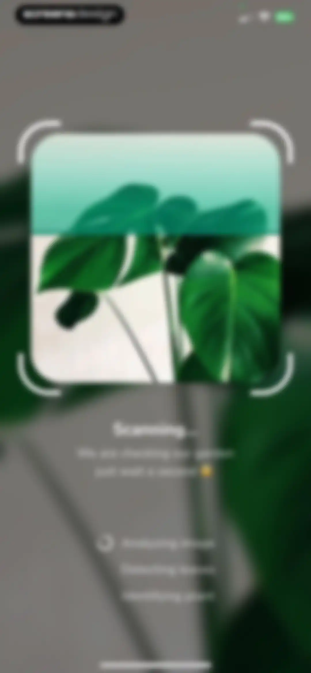 Plantify: AI Plant Identifier screen 11
