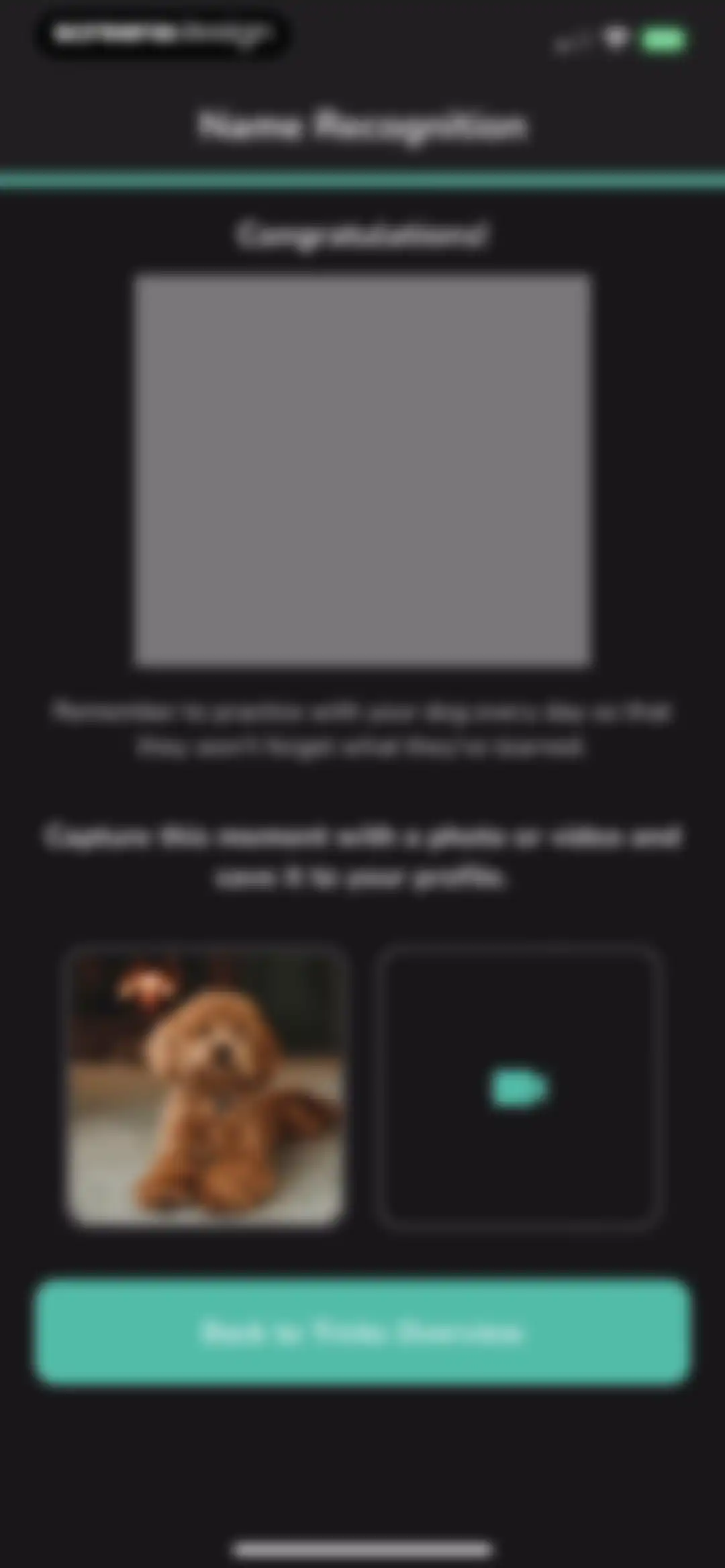 Hundeo - Dog Training & Tricks screen 52