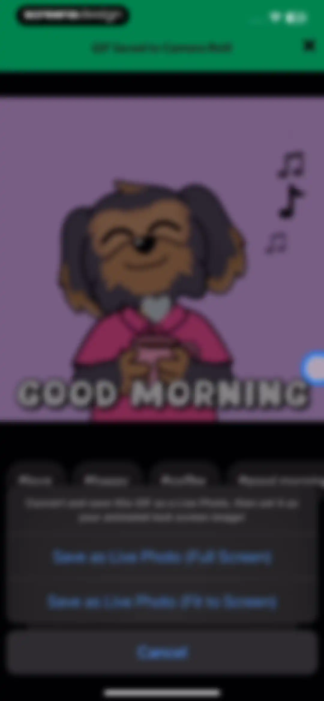 GIPHY: The GIF Search Engine screen 21